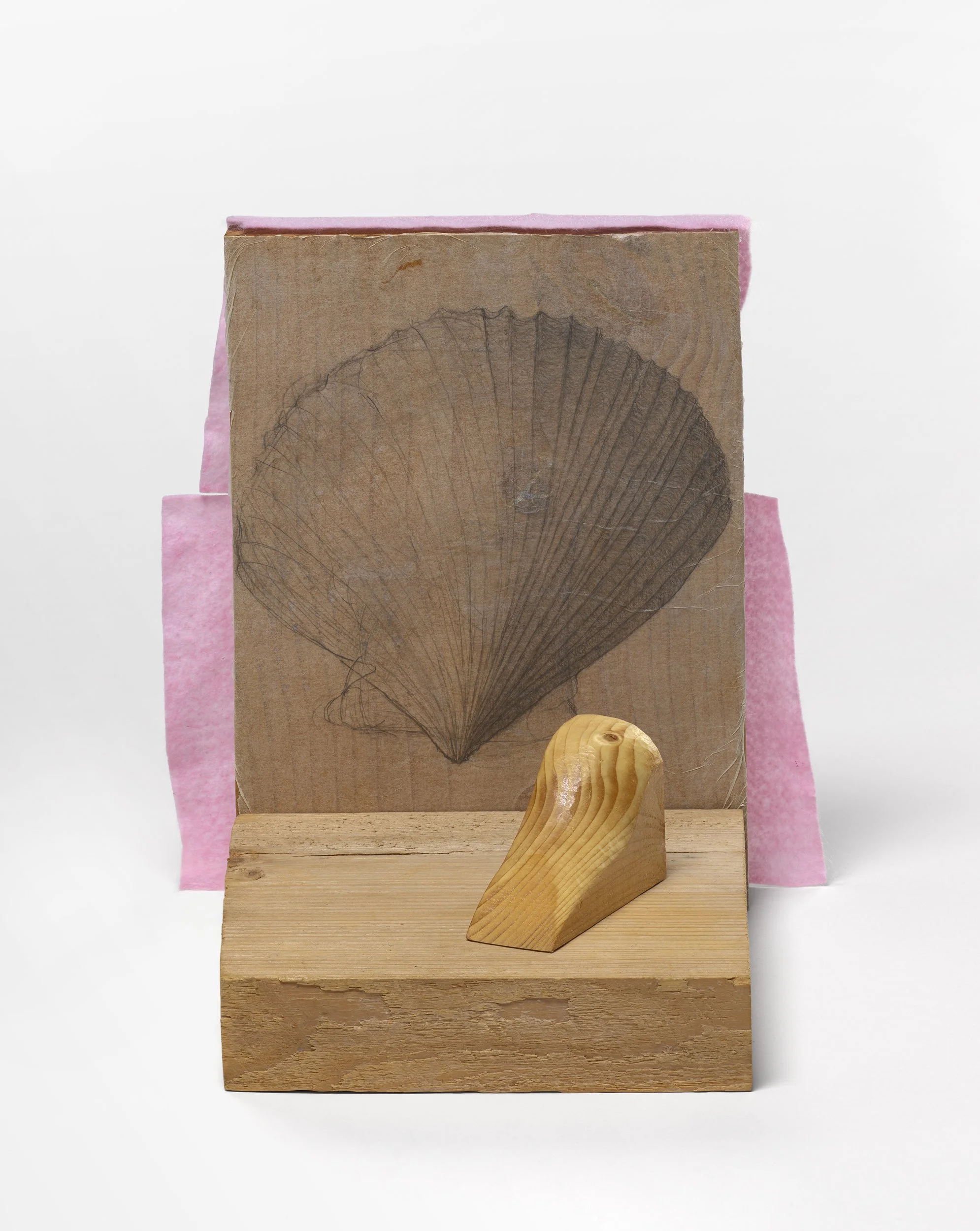 2026
fir, pine, tracing paper, graphite, glue, felt
11 1/2x8 1/2x11 inches