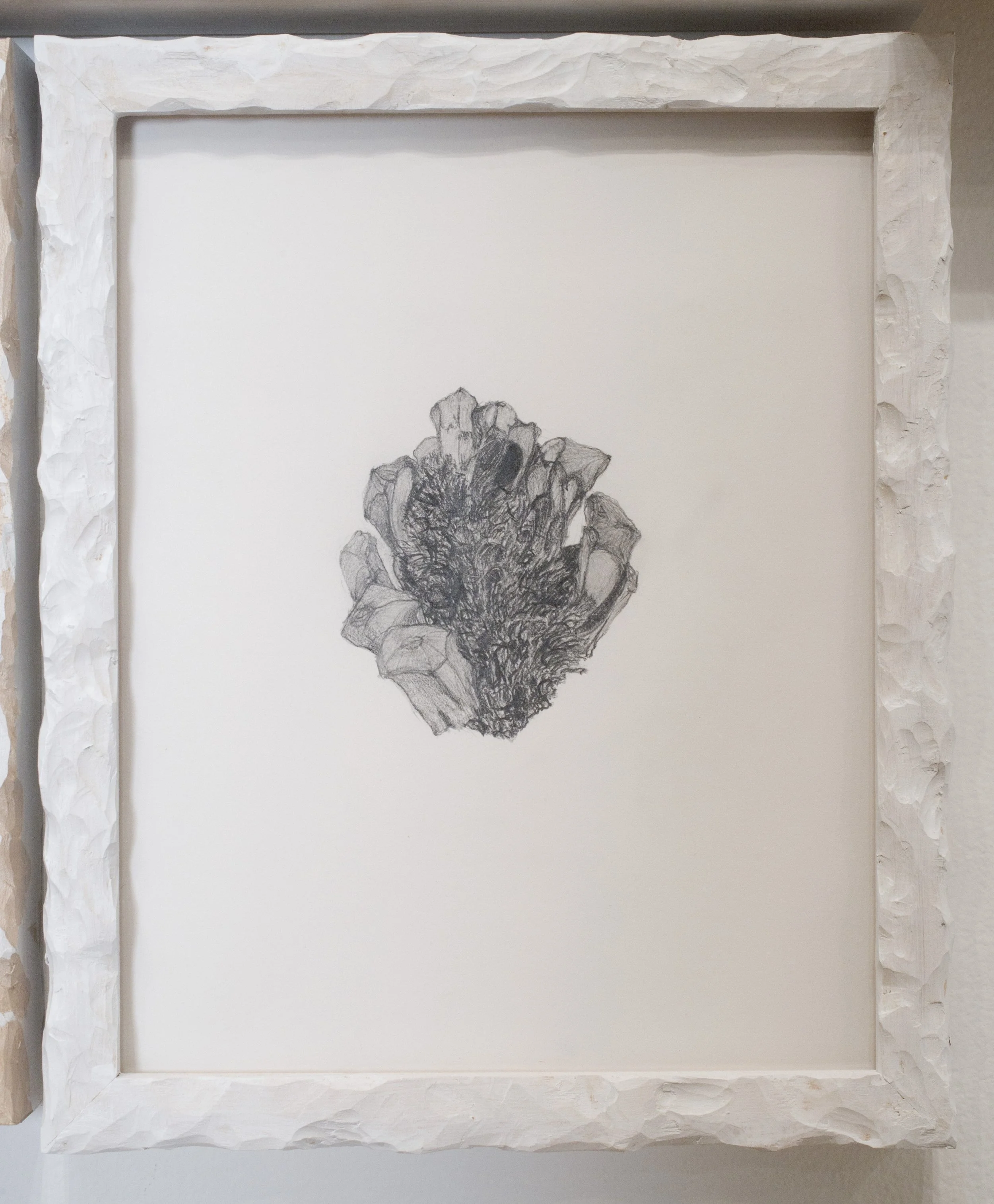 JillSlosburg-Ackerman_InRome_InSituObject#68_2012-12-31.jpg