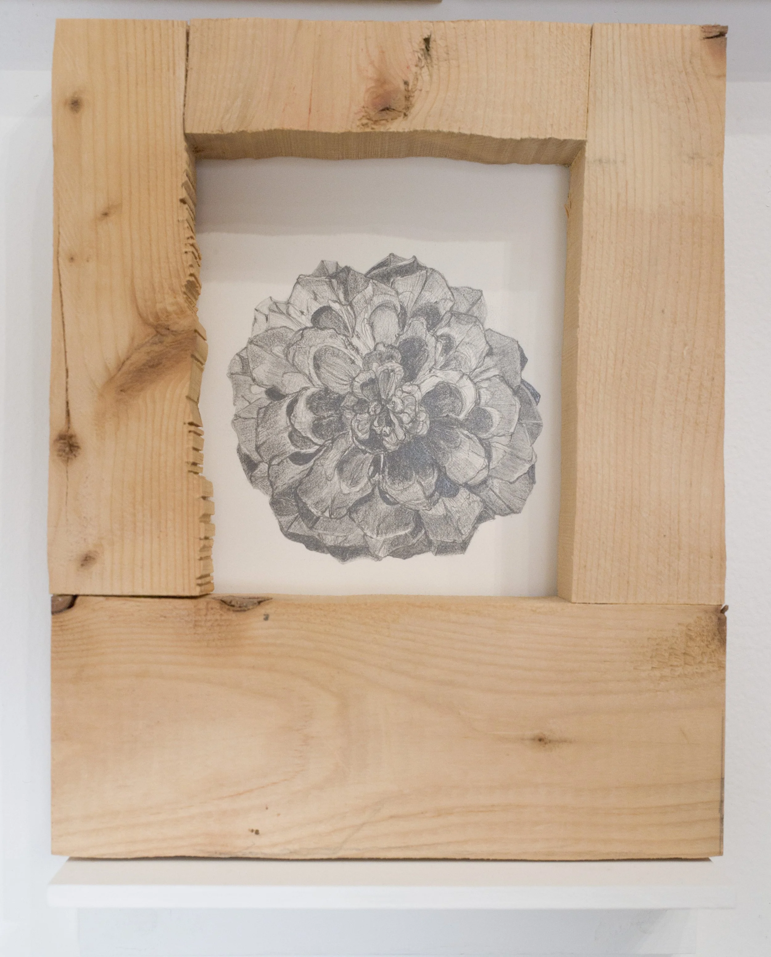 JillSlosburg-Ackerman_InRome_InSituObject#38_2012-12-31.jpg