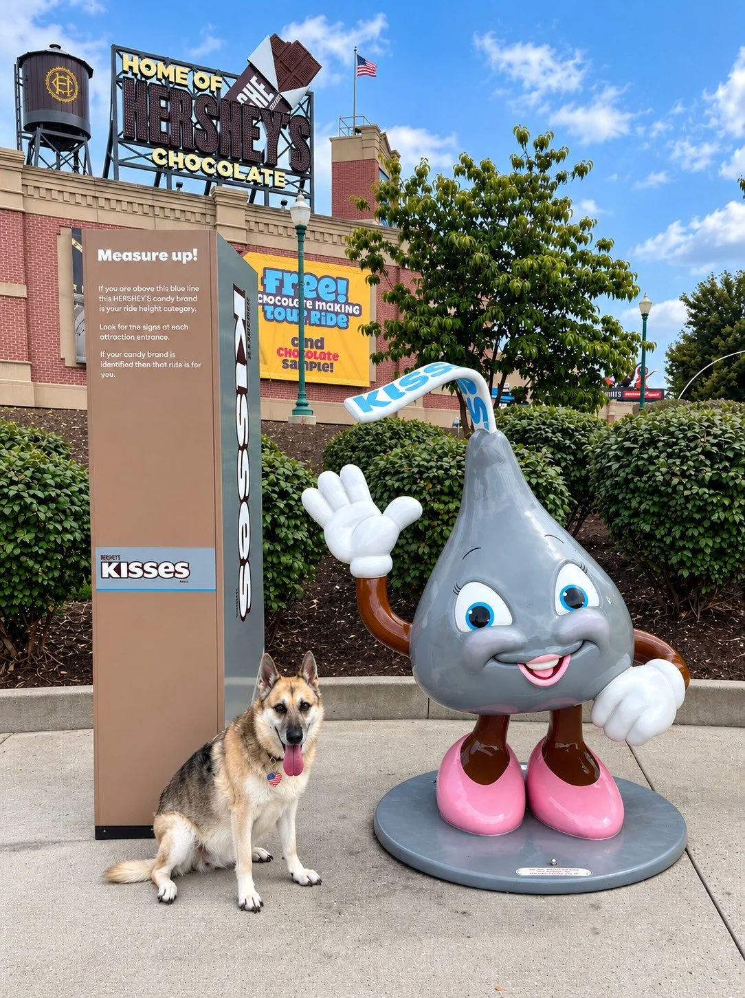 Cadie - Hershey 2.jpg