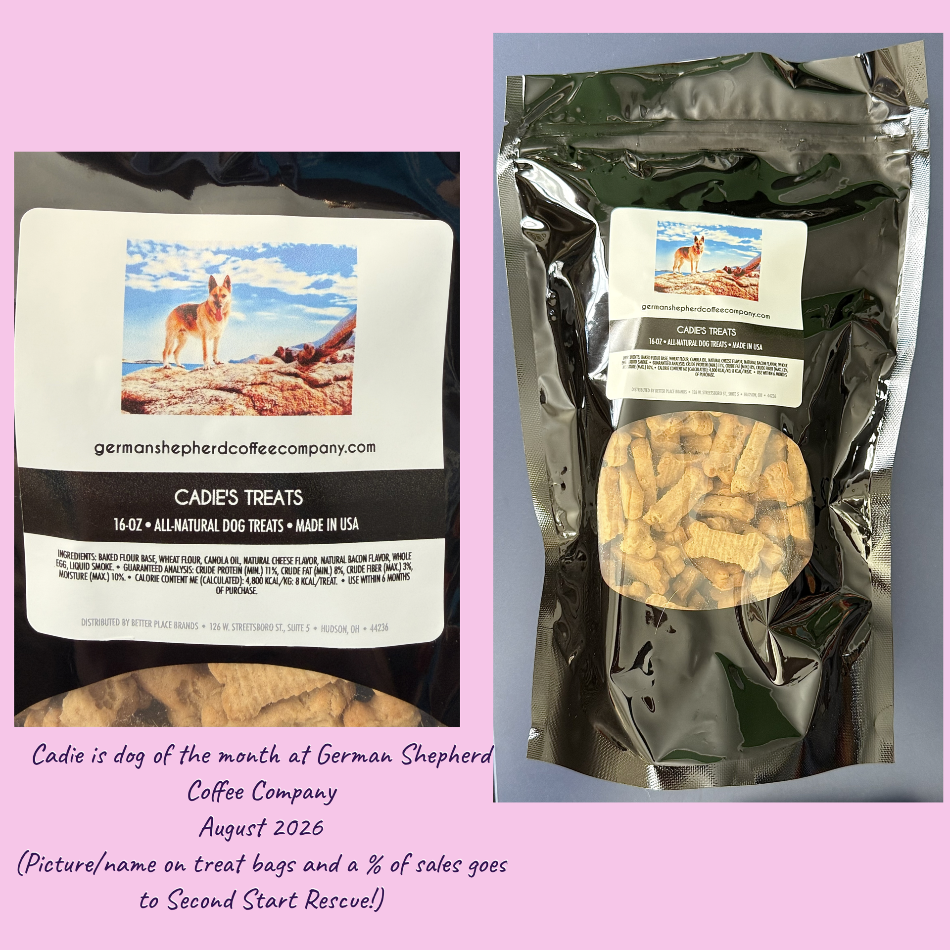 Cadie - on treats.PNG