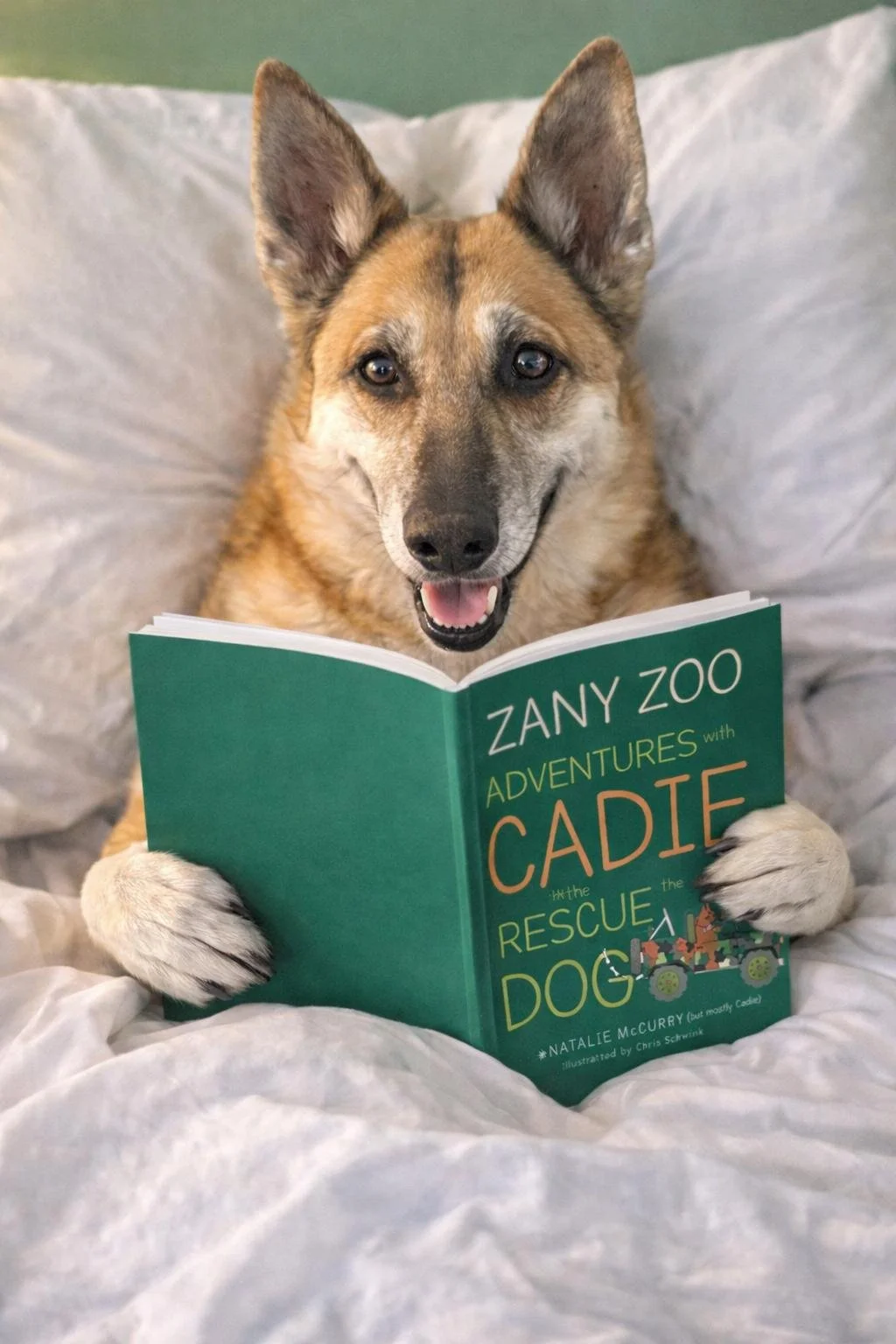 Cadie reading zoo book.jpeg