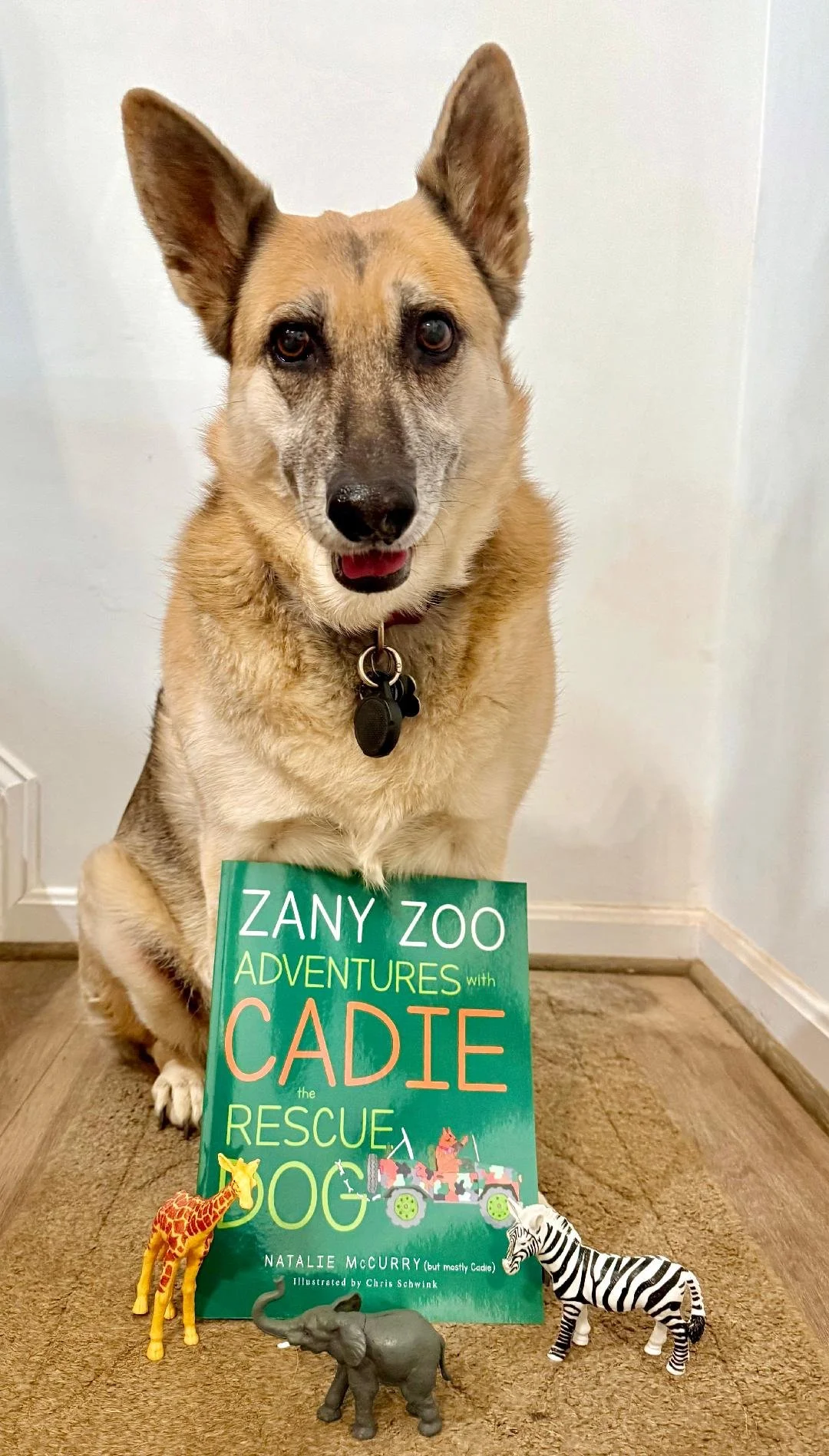 Cadie w zoo book.jpeg