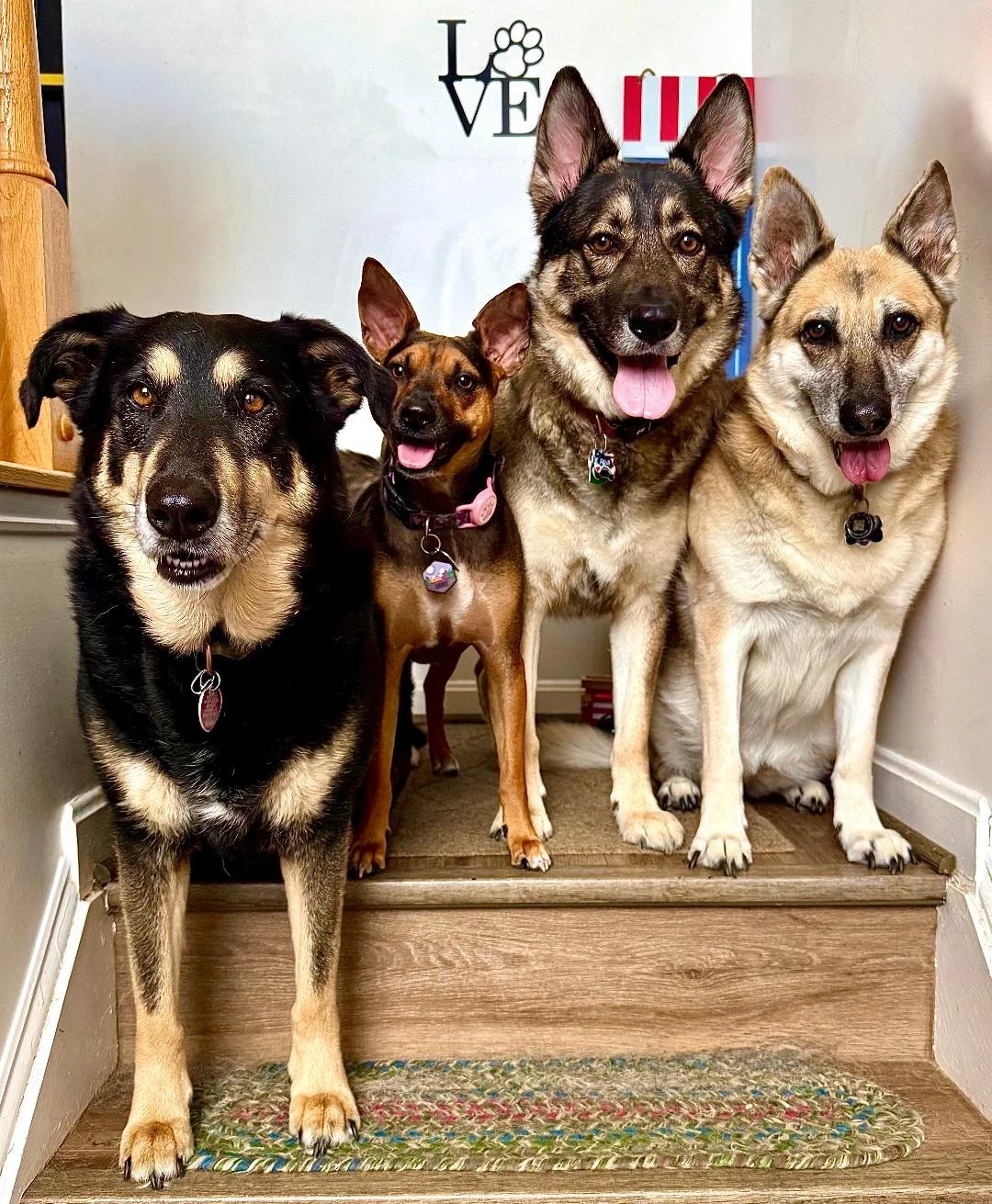 Cadie and sisters 2026.jpeg