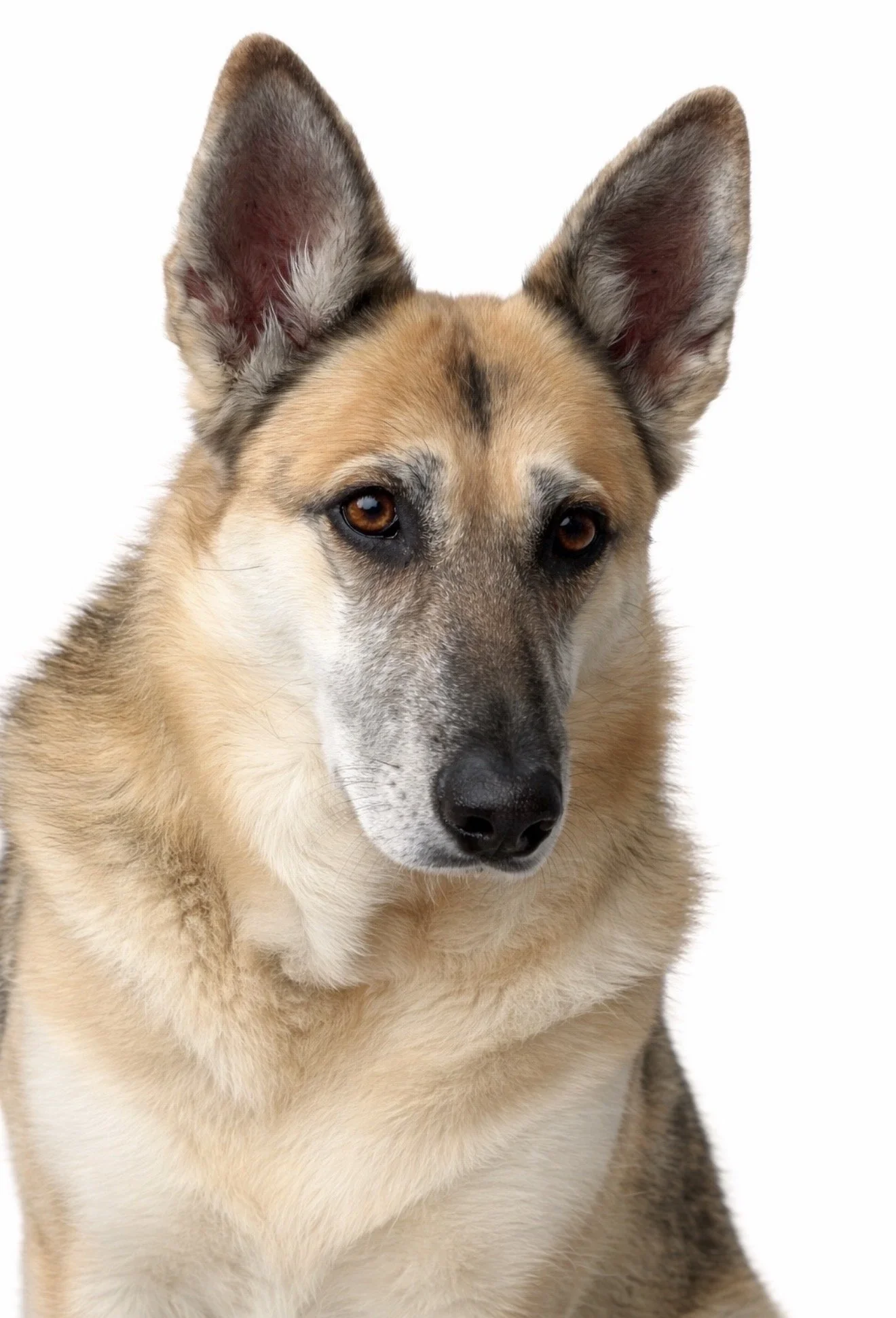 Cadie - portrait - 1.jpg