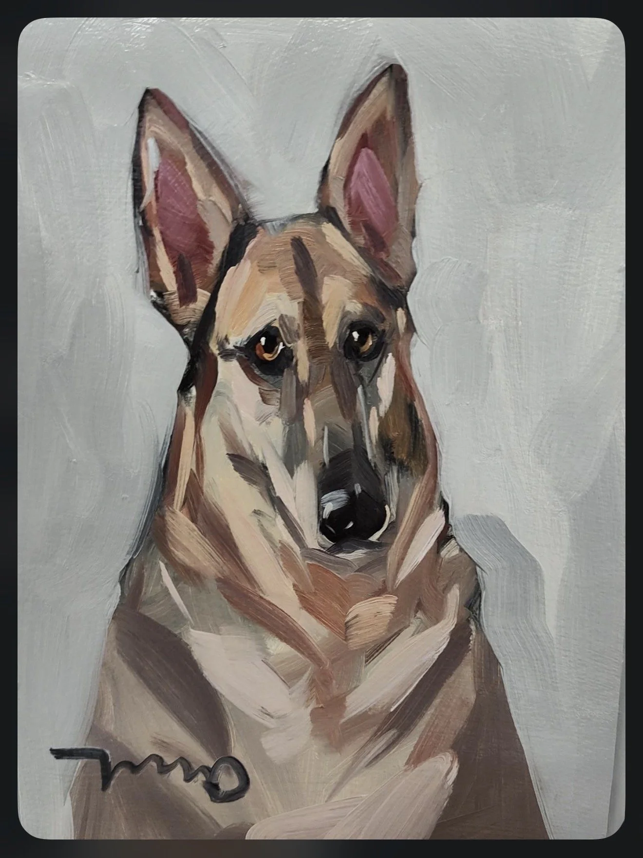 Cadie - portrait.jpg