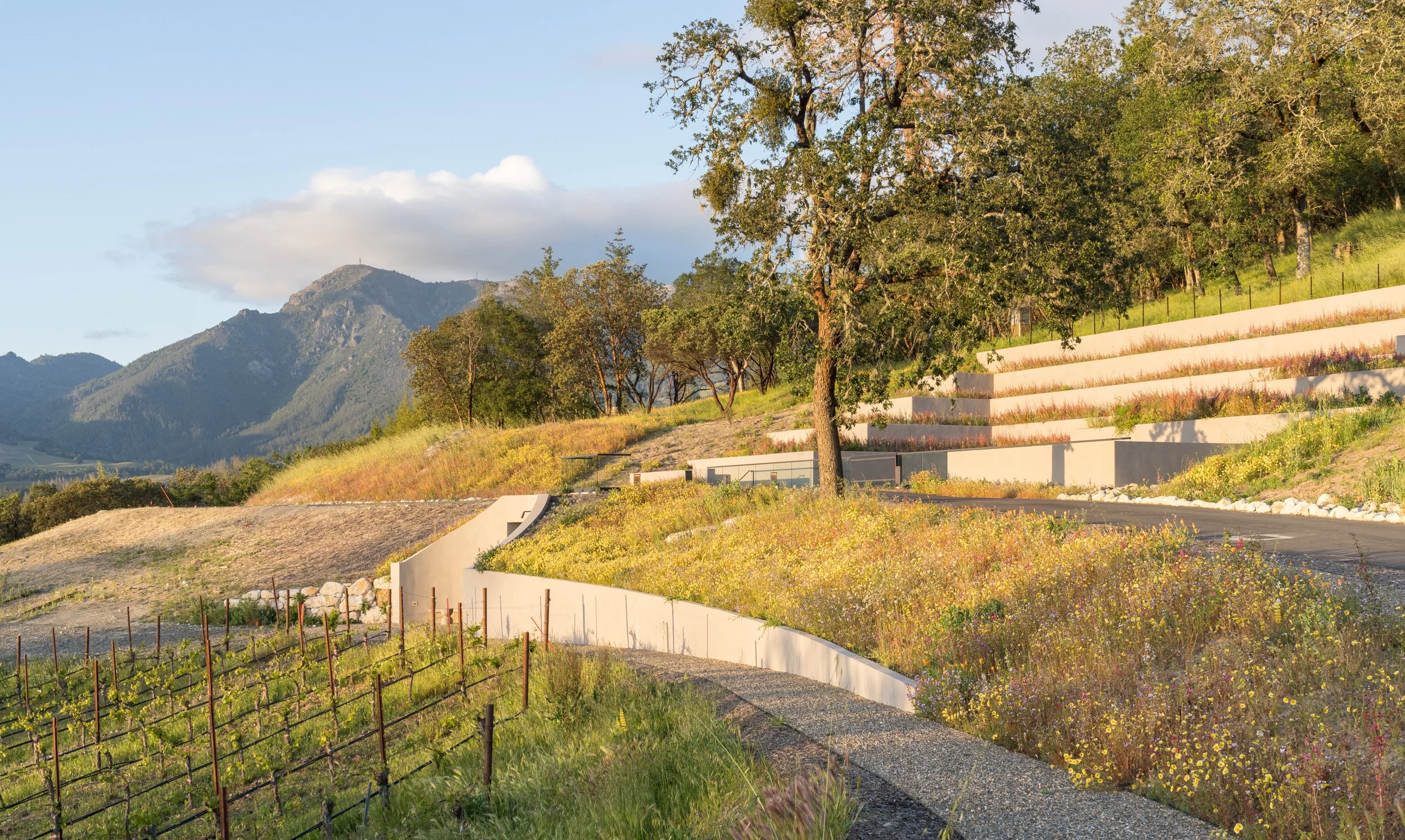 Knight's Bridge Winery — Backen & Backen Architecture