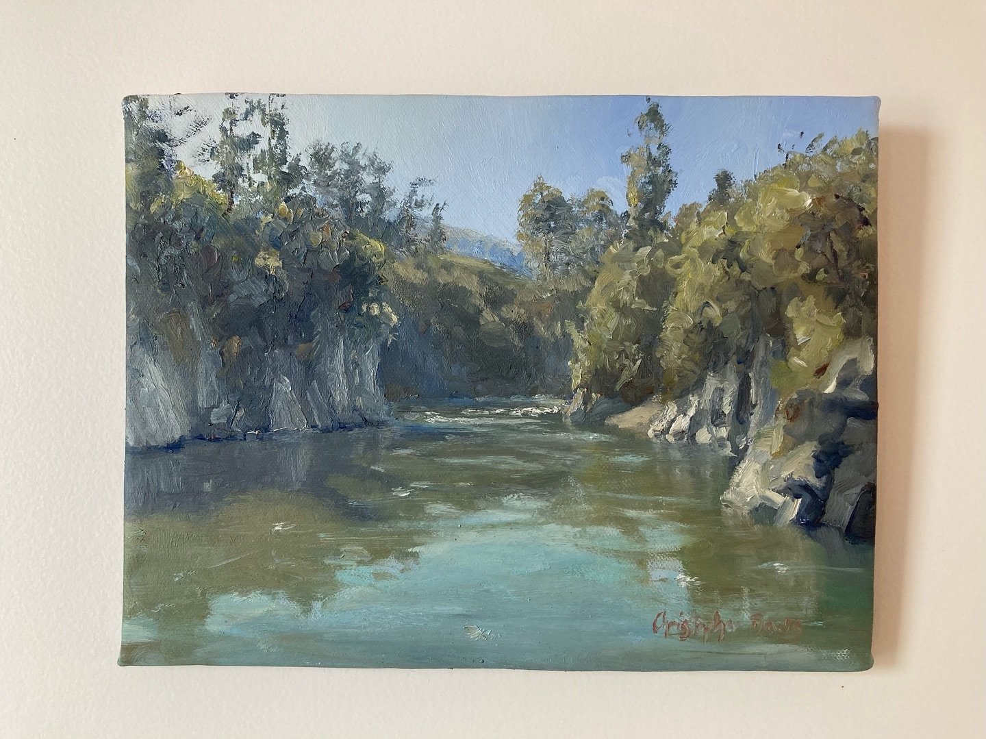 Available original ~ Ōtaki pots painted #enpleinair 18/11/24

Oil on canvas 8&rdquo;x10

$280 ~ message for delivery options.