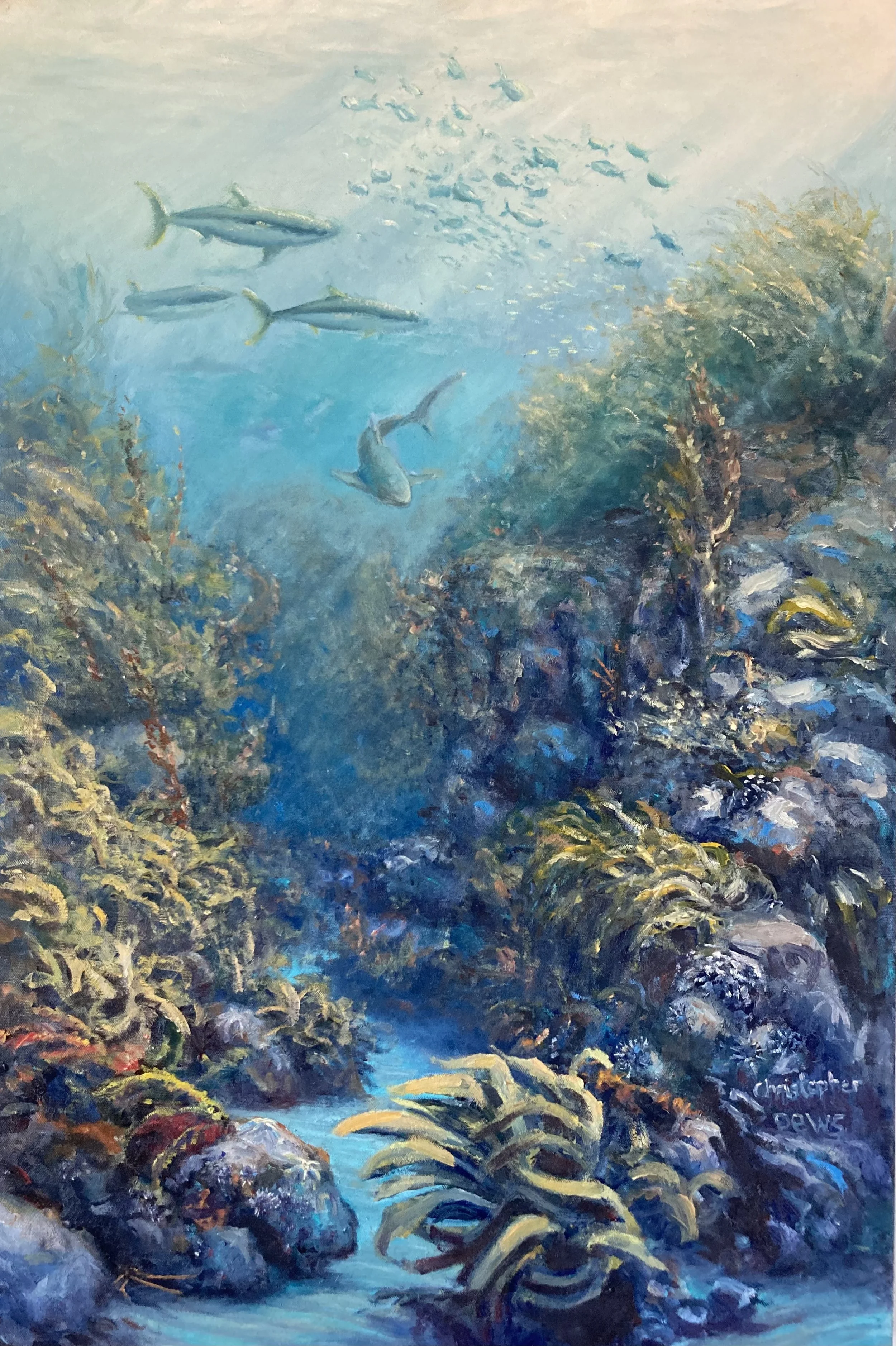 View from below - Rabbit island. 24