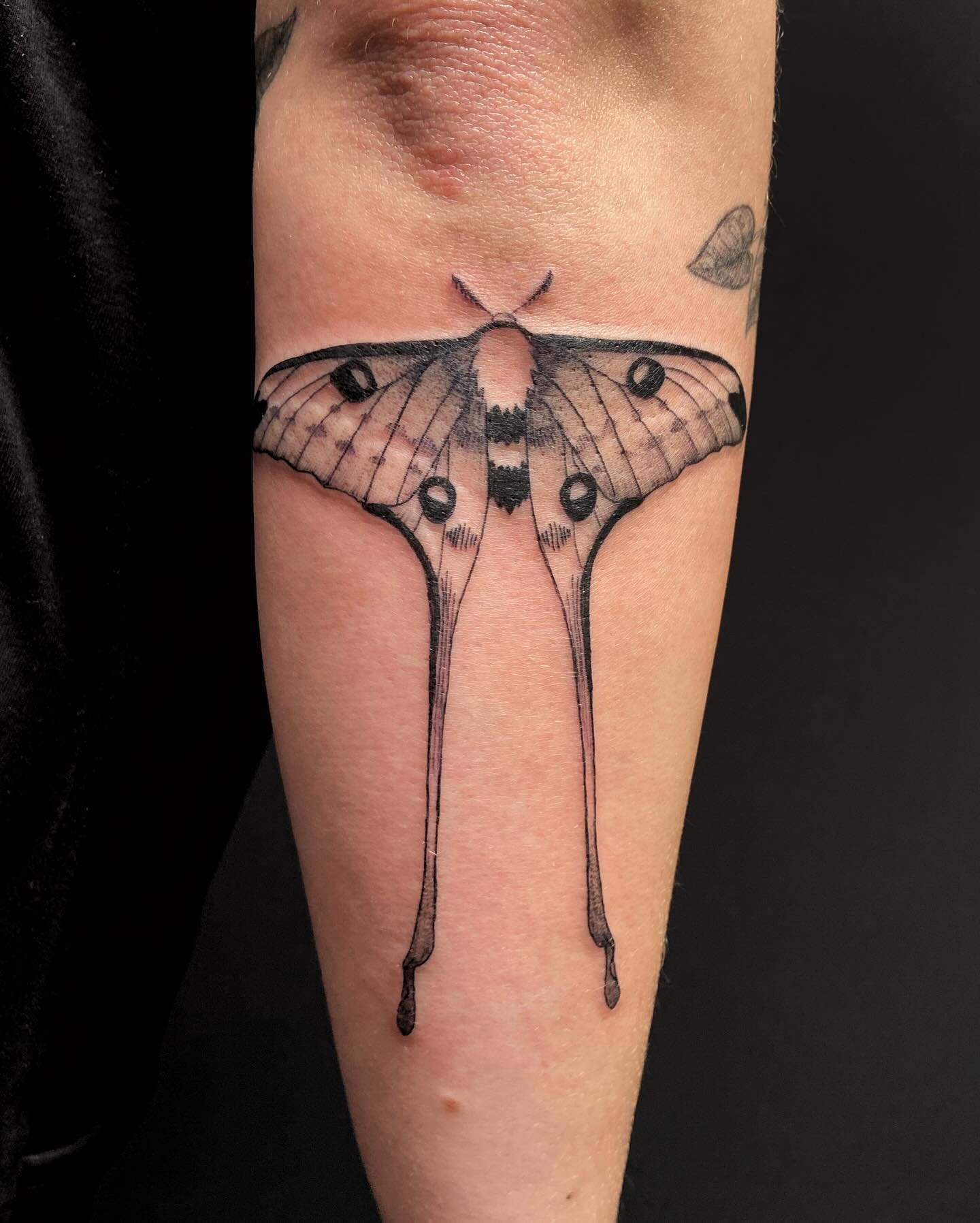 luna moth for one of my all time faves 💗 thanks, Leslie!!
.
.
.
.
.
.
.
.
#flashtattoo #mothtattoo #lunamoth #finelinetattoo #bayareatattoo