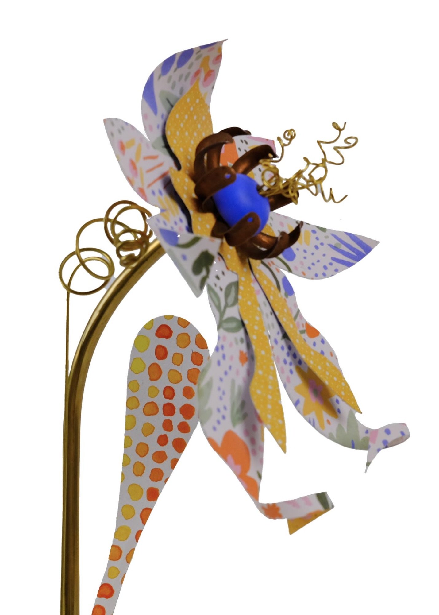 Iris close up.jpeg