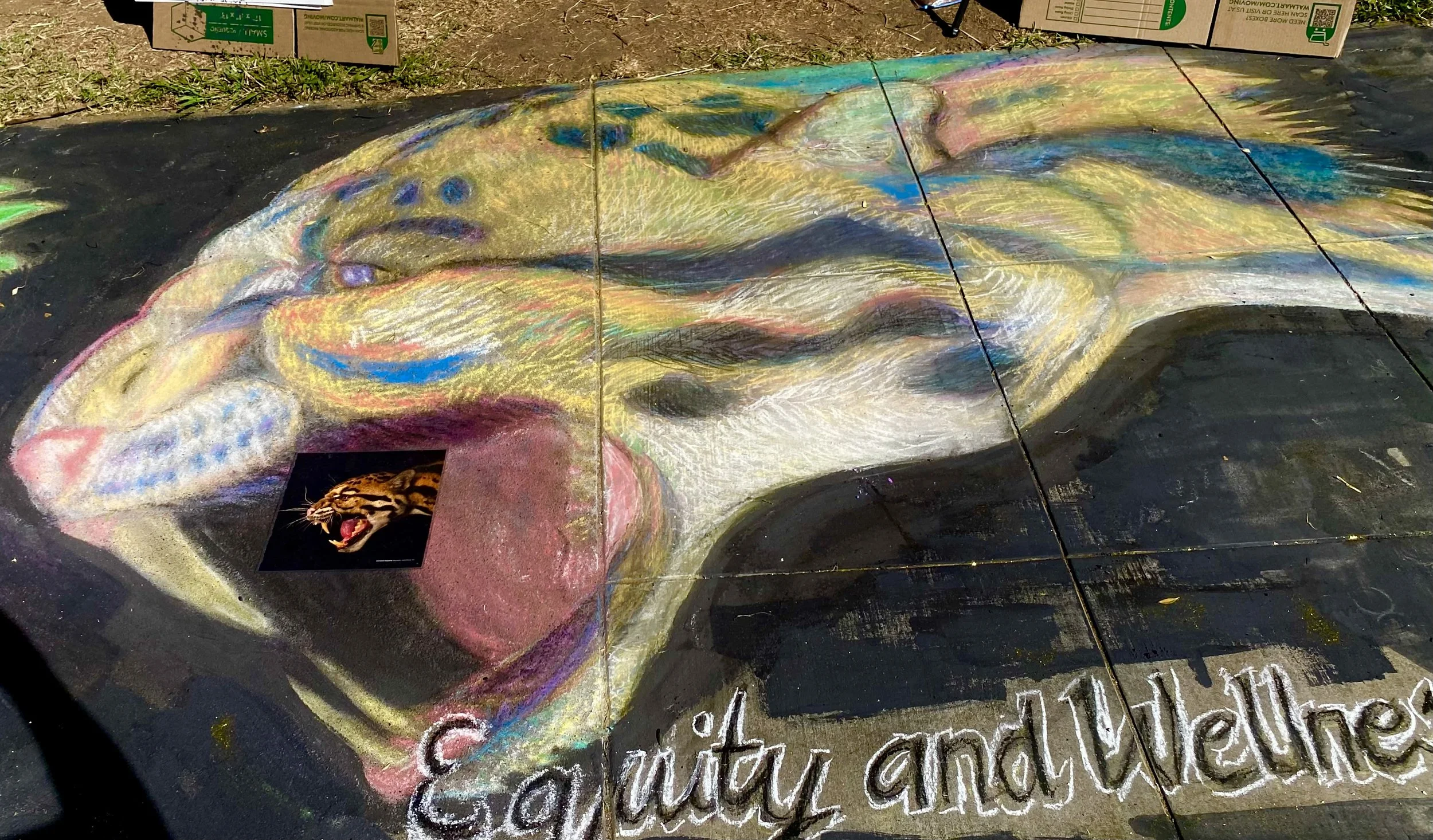 2024-09-13 - IMG-4093.jpeg