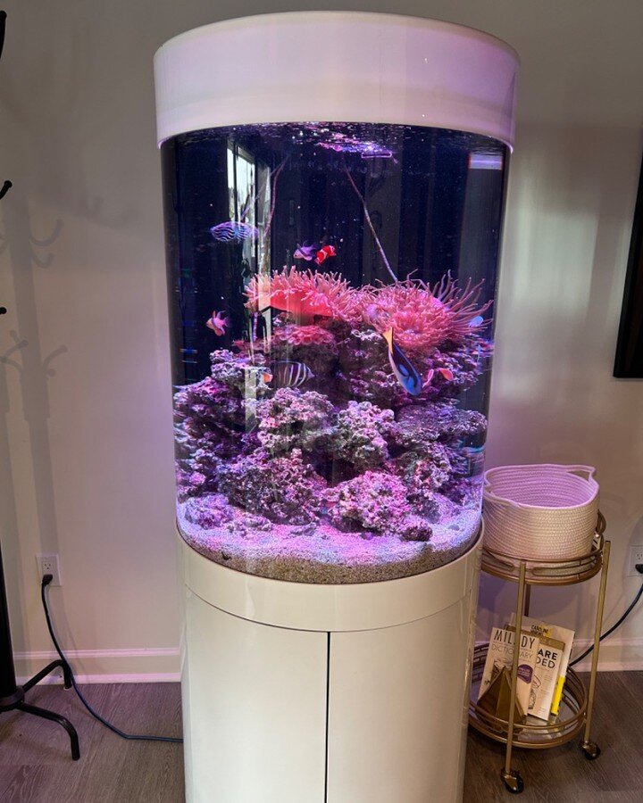 Instrested in having an aquarium? Give is a call/text today! 734-686-4147