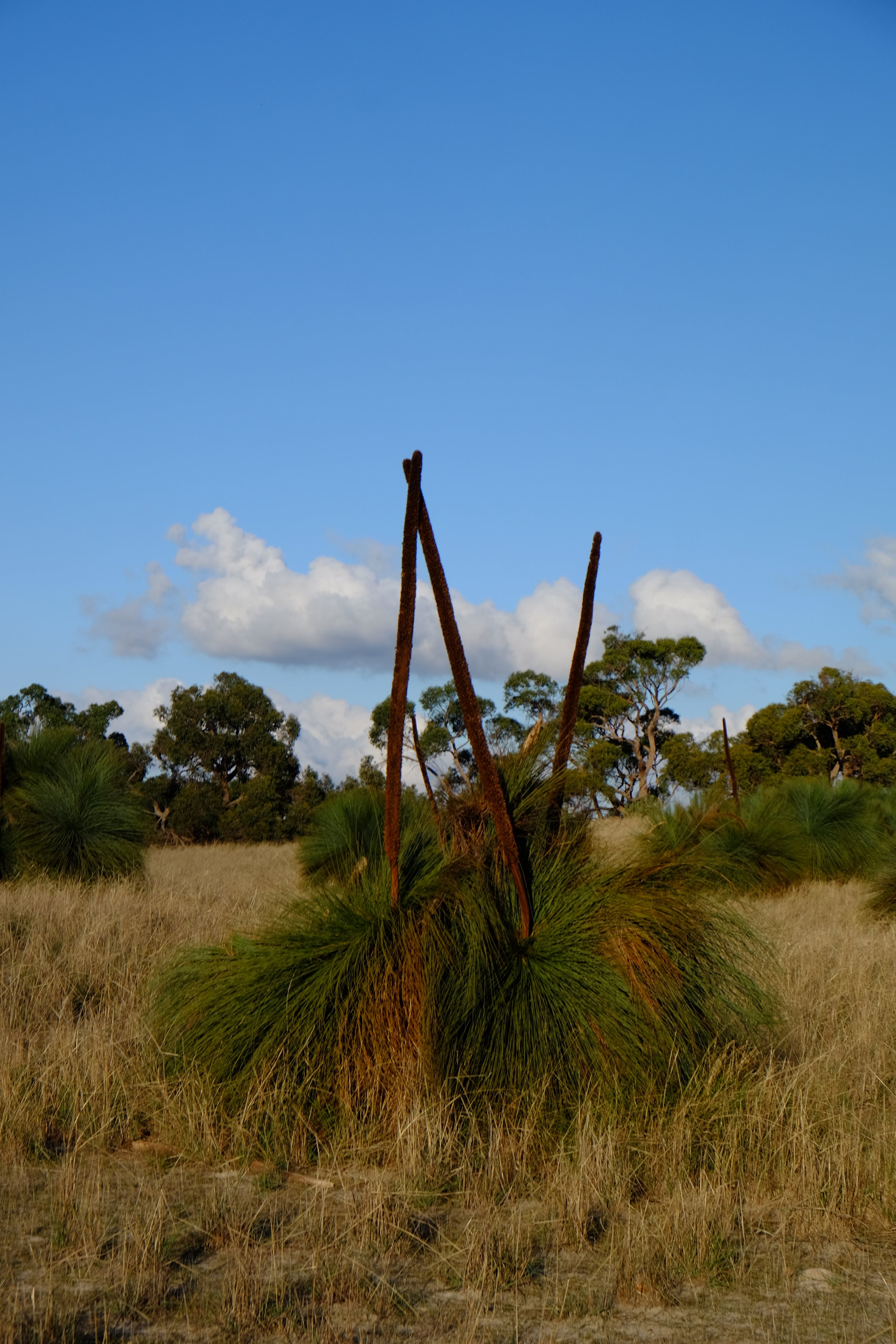 DSCF7477.JPG