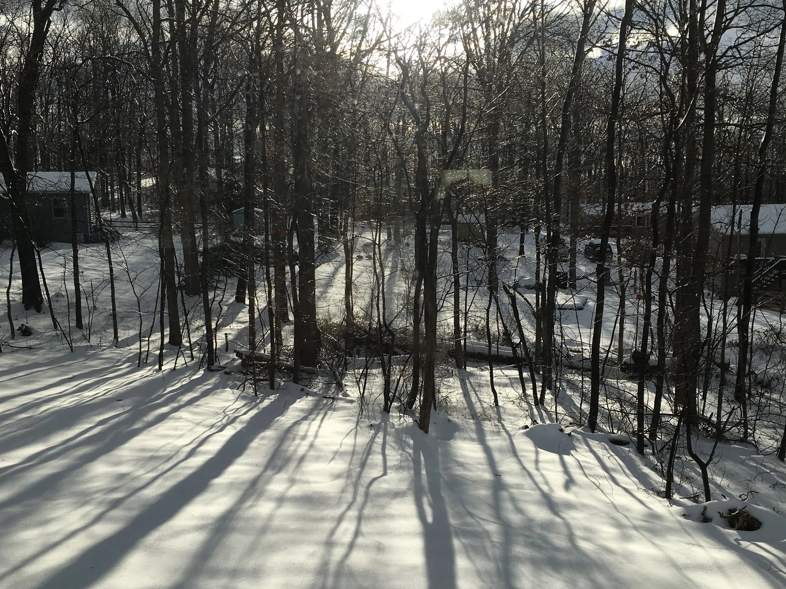 winter-sunrise-shadows-snow.JPG