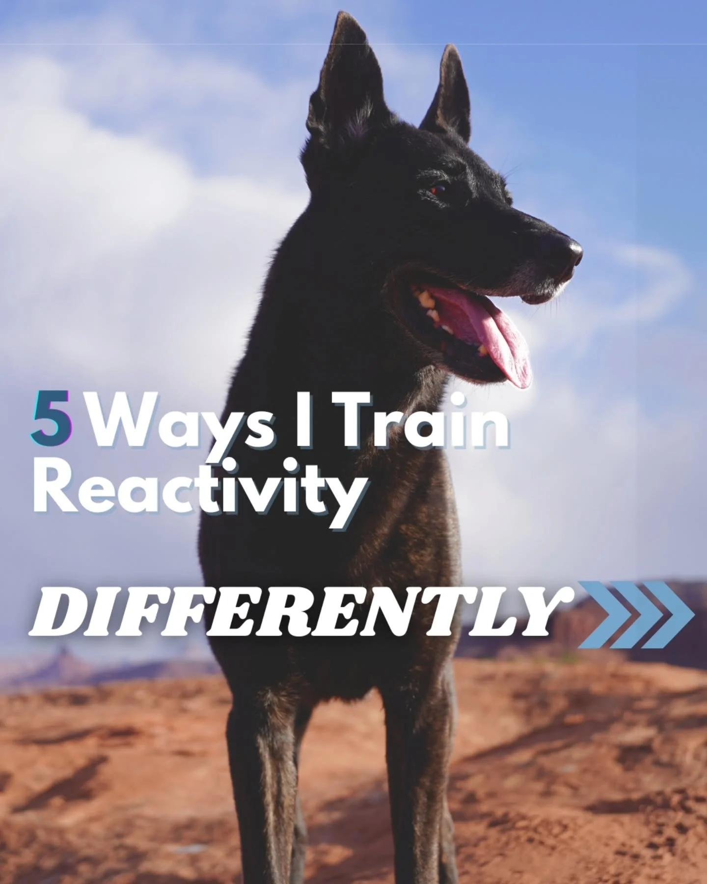 Because the goal is a partnership with your dog for their whole life. 

There isn't just one set of steps that work to 'fix' reactivity. Dogs need to learn how to feel better about their triggers AND learn how to think AND get help when they need. 

