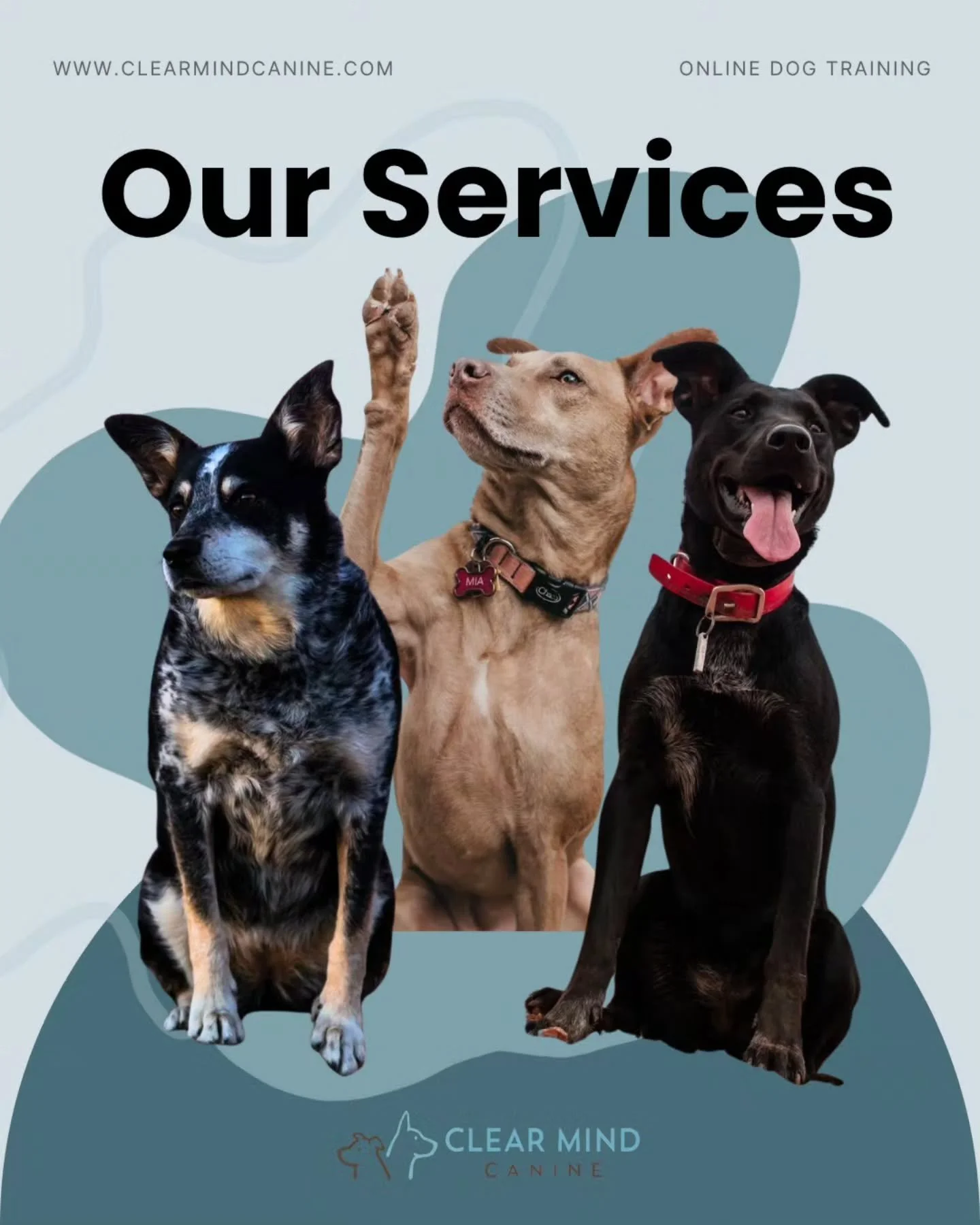 Hi! I'm Heather 😀
(CPDT-KA, CBCC-KA)

I'm a dog trainer who specializes in behavior training,  adventure dog skills, and sports.

But also - the human side.

After 11+ years as a professional trainer, I'm here to help you find the most effective tra