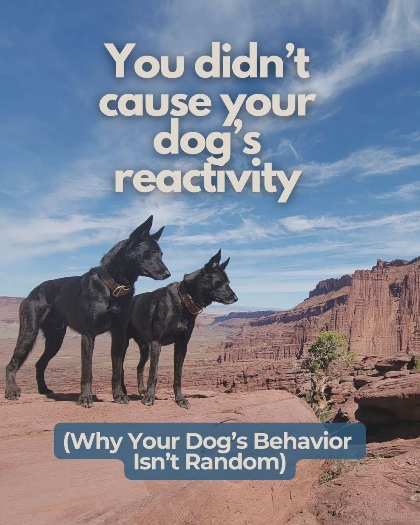 All behavior is a product of both nature and nurture. It&rsquo;s a constant back and forth feedback loop that applies constraints and possibilities all at the same time.

Genetics determine a range of possible behaviors and personalities; life experi