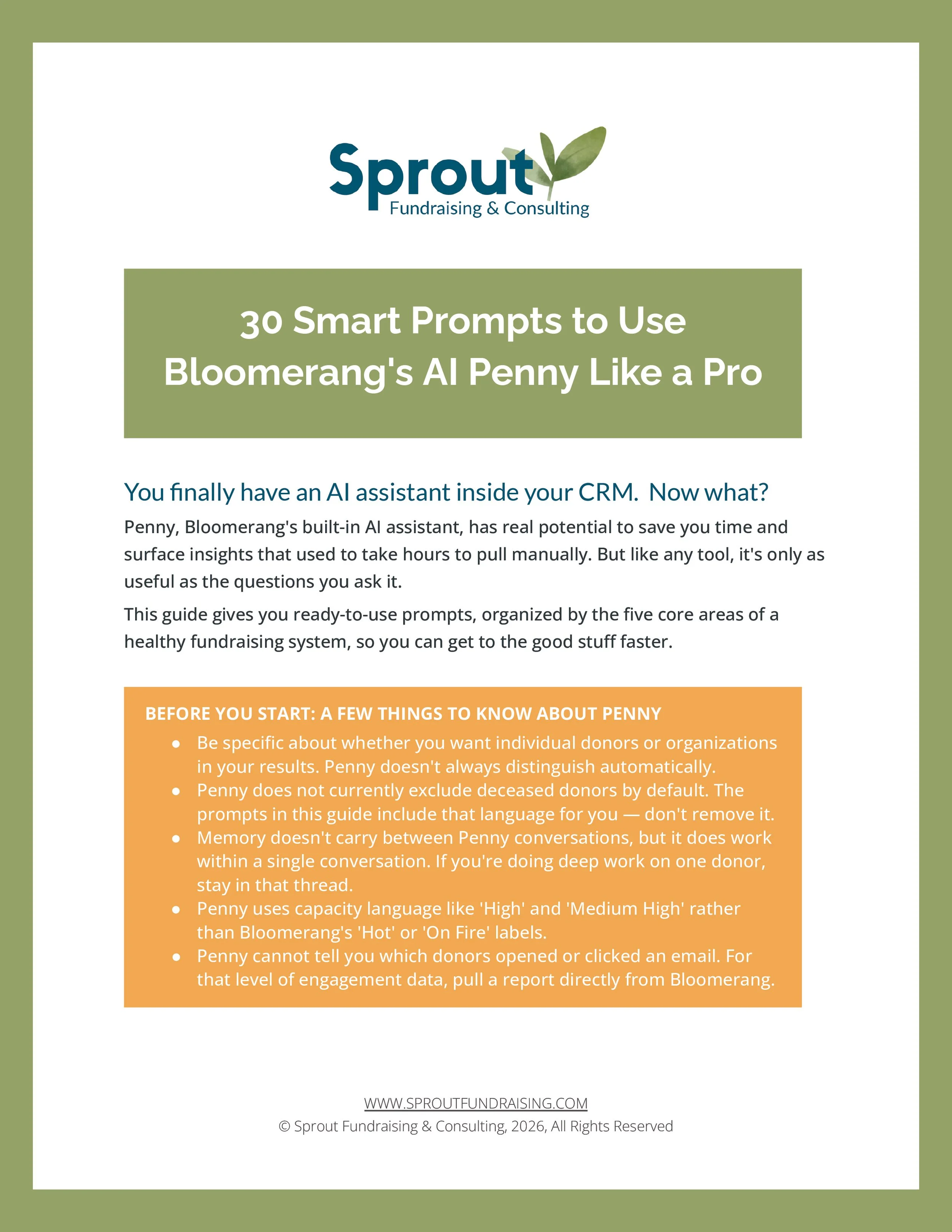 Preview of 30 Smart Prompts for Bloomerang Penny.
