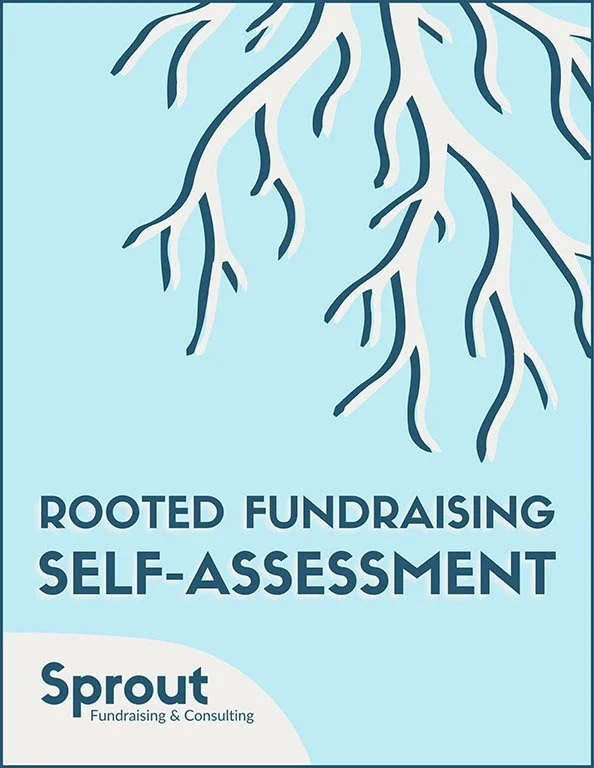 Rooted Fundraising Self-Assessment cover page