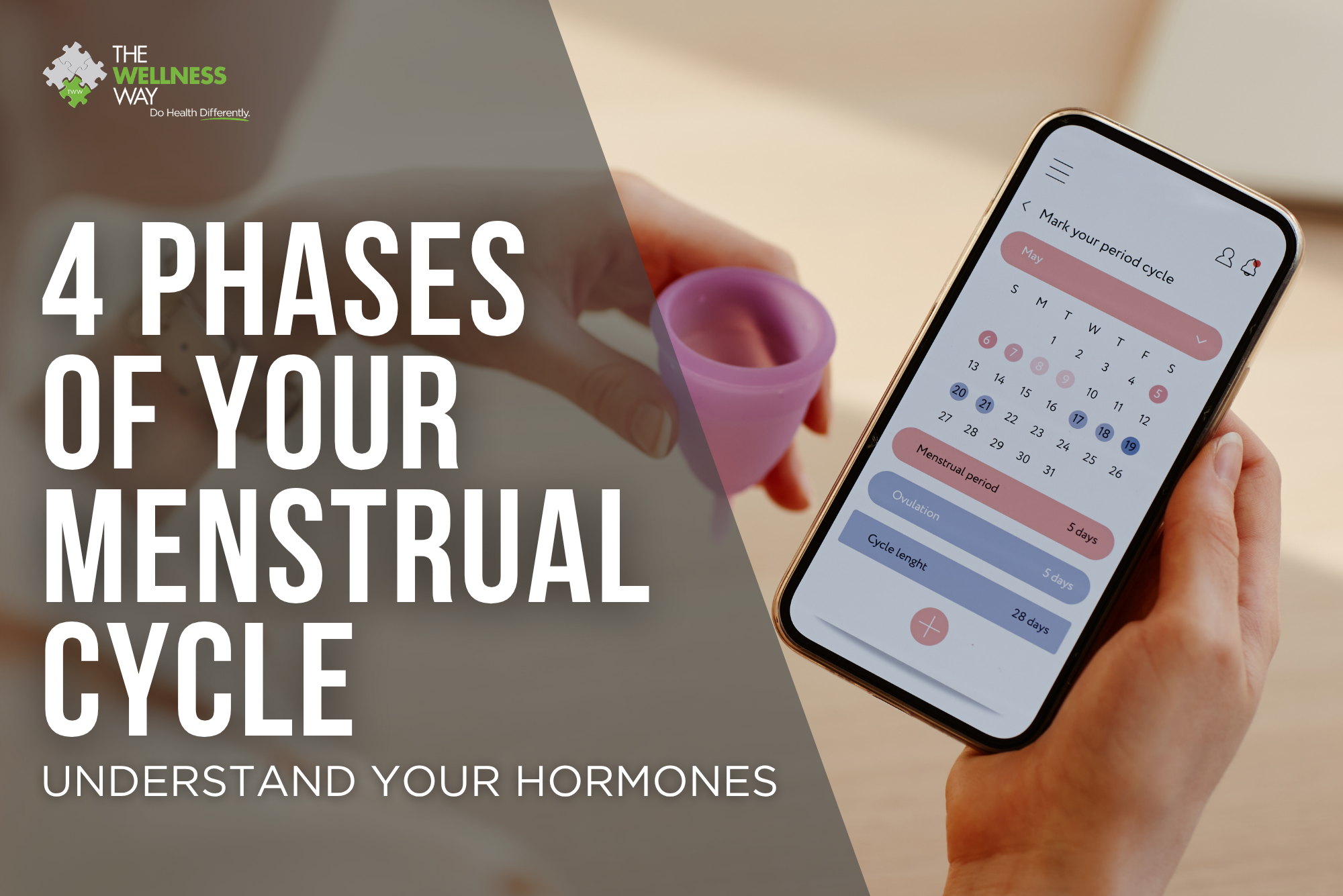 Woman using a period-tracking app on her phone beside a menstrual cup, illustrating the four phases of the menstrual cycle and hormone awareness.