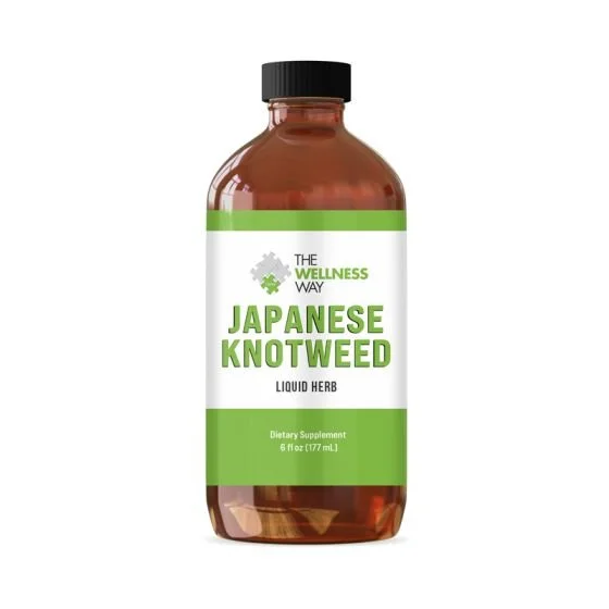 japanese-knotweed-2021.jpg