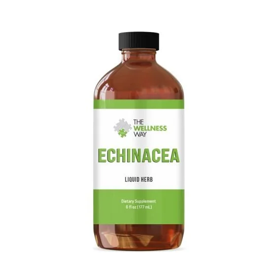 echinacea-2021.jpg