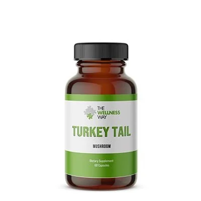 turkey-tail-2021.jpg