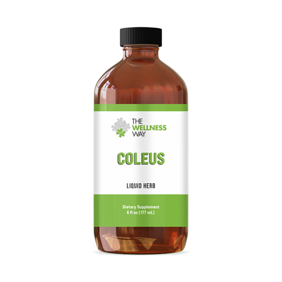99590_coleus_mock-up_front.png