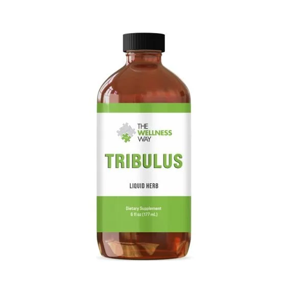 tribulus-2021.jpg