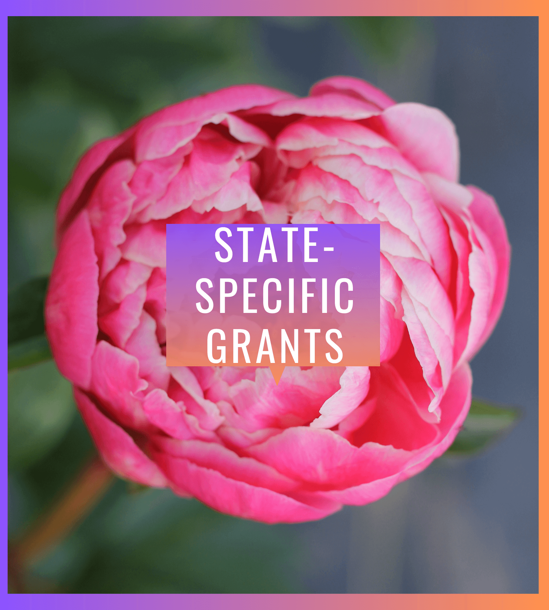 Database of Grants Available for Flower Farmers — Flower Farming For Profit