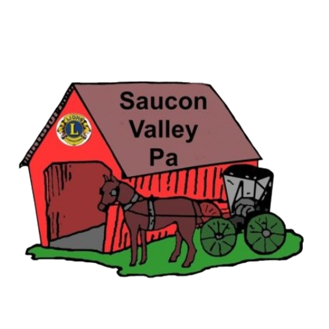 Saucon Valley Lions (1).png