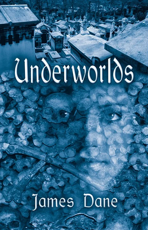 Book cover for James Dane Books