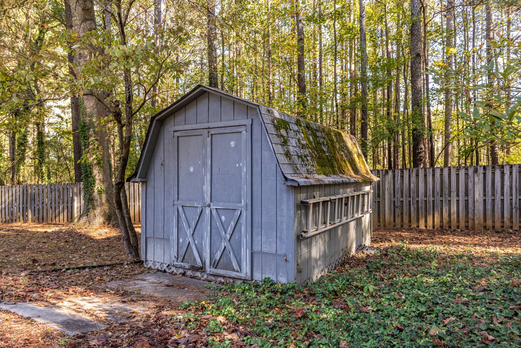 54 backyard_shed.jpg