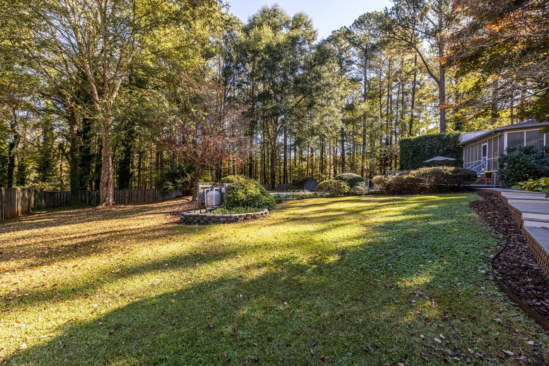 53 backyard.jpg