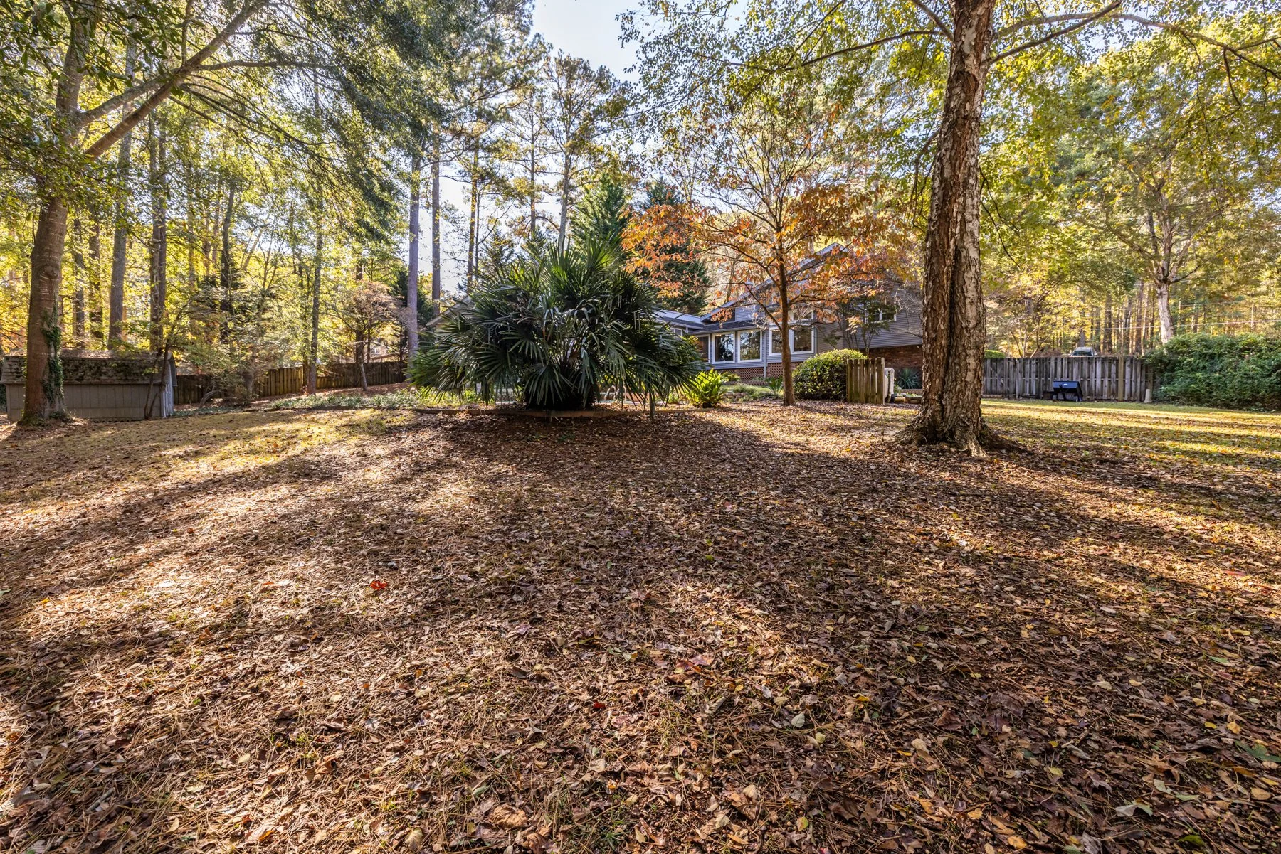 55 backyard3.jpg