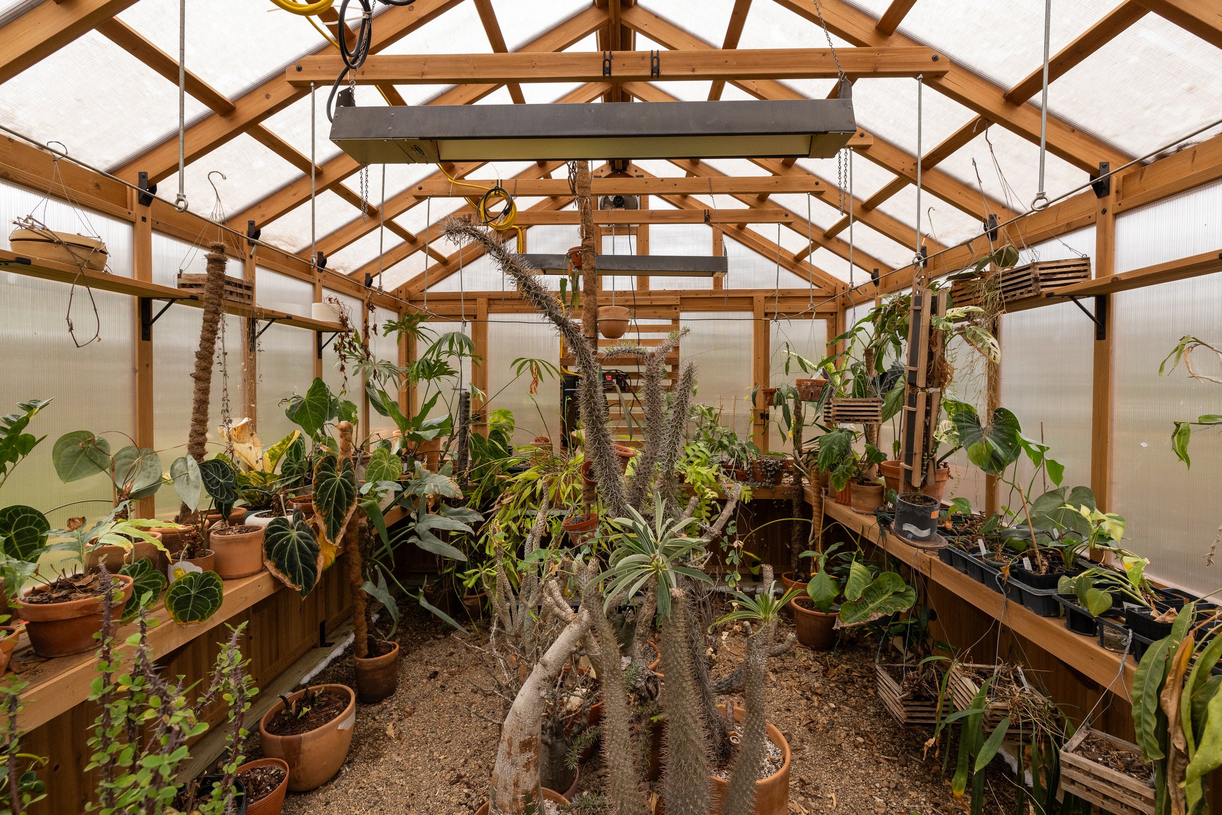 28 56-print-20260106_1357grant_fandel104.jpg