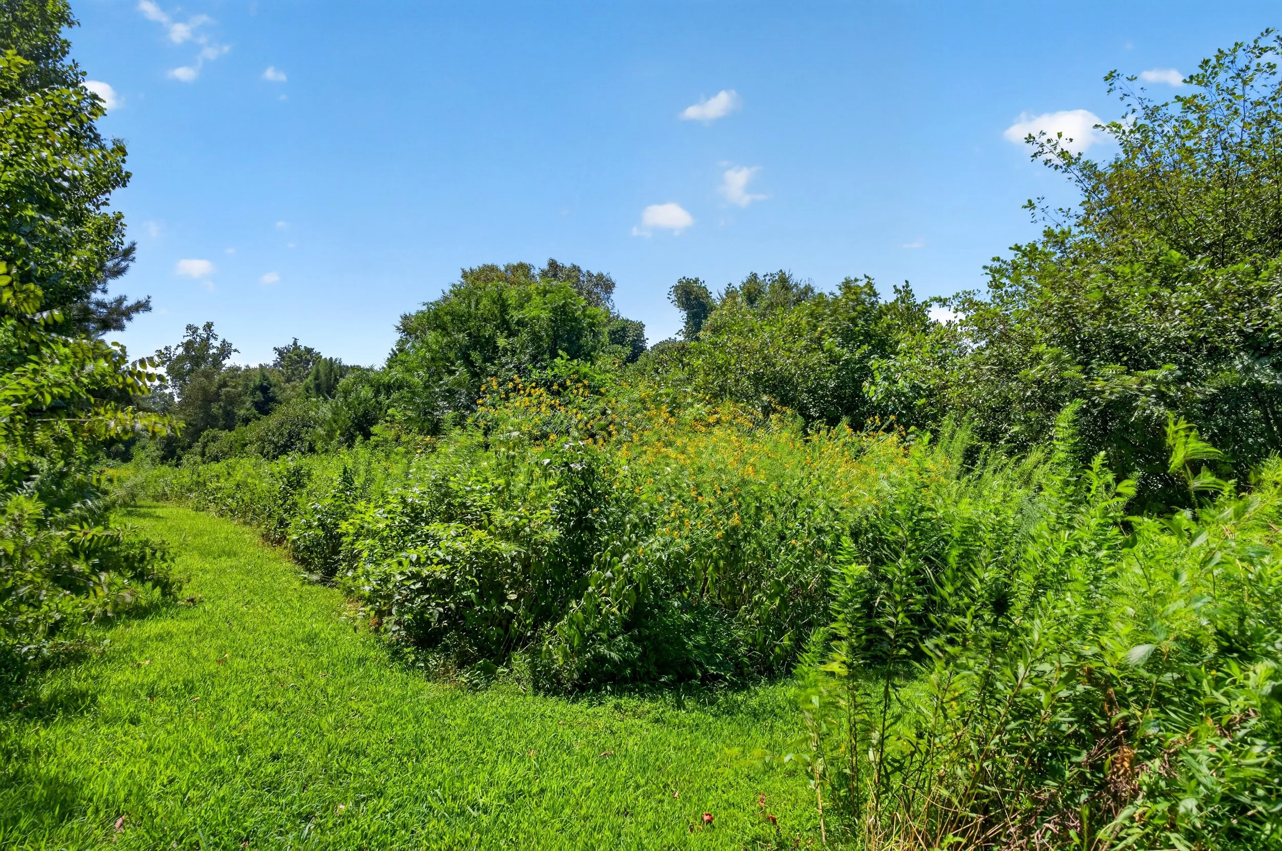65_dsc06499.jpg