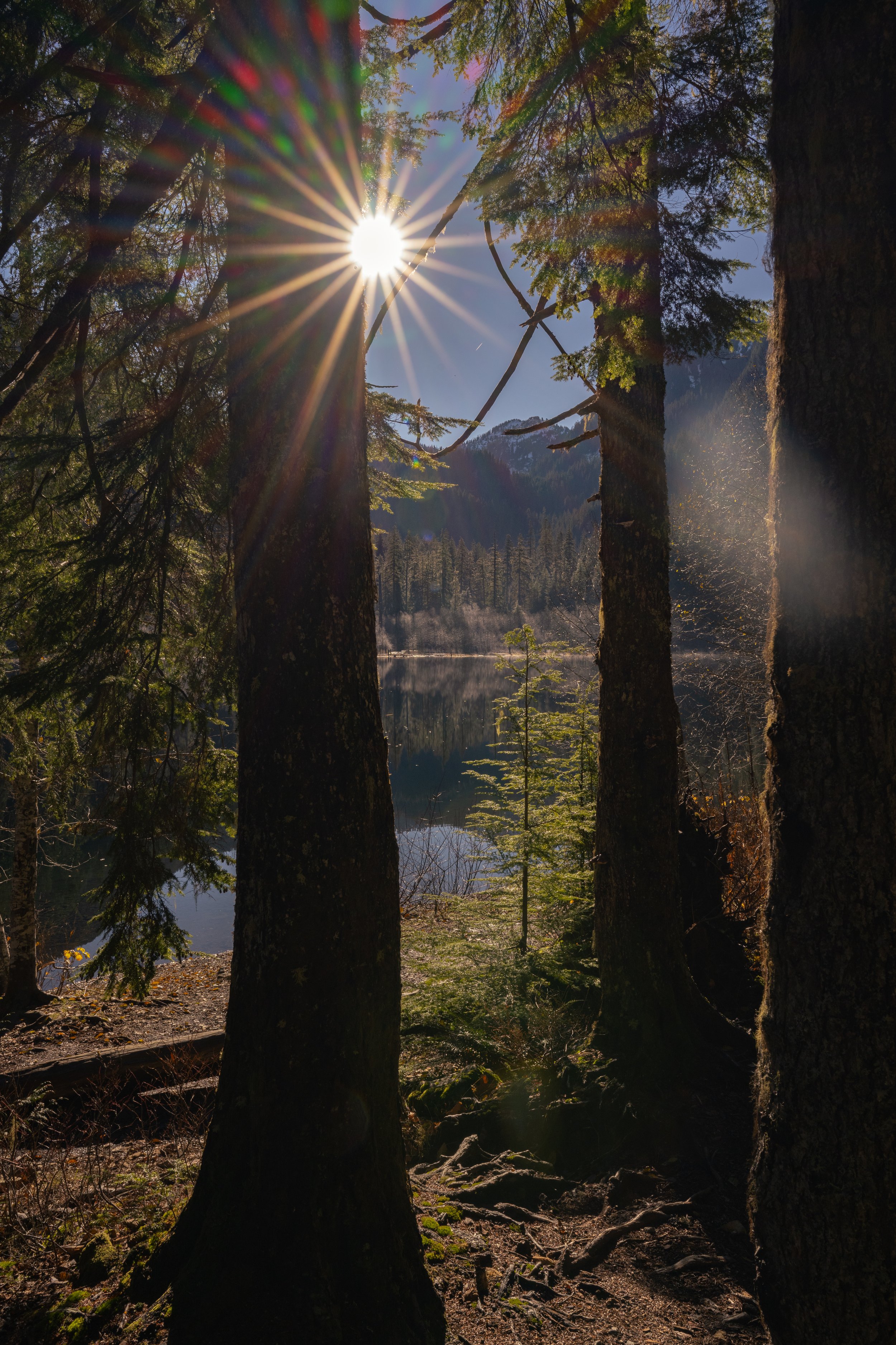 Trout lake thru the trees.jpg