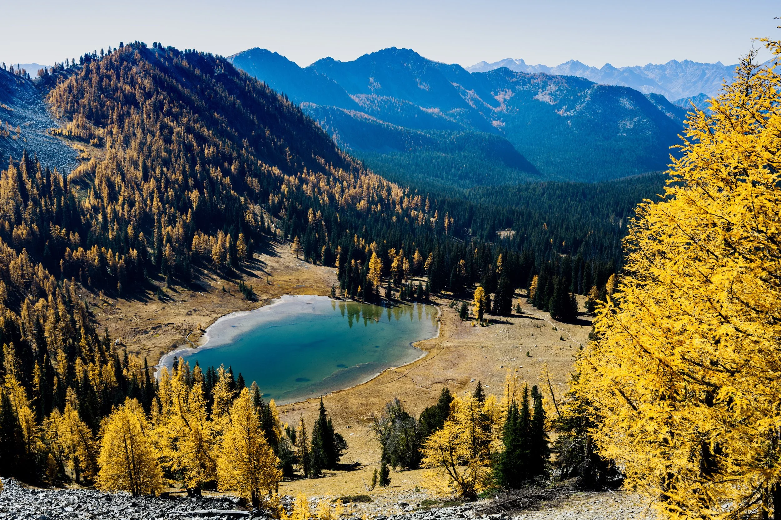 The Throneroom-2.jpg