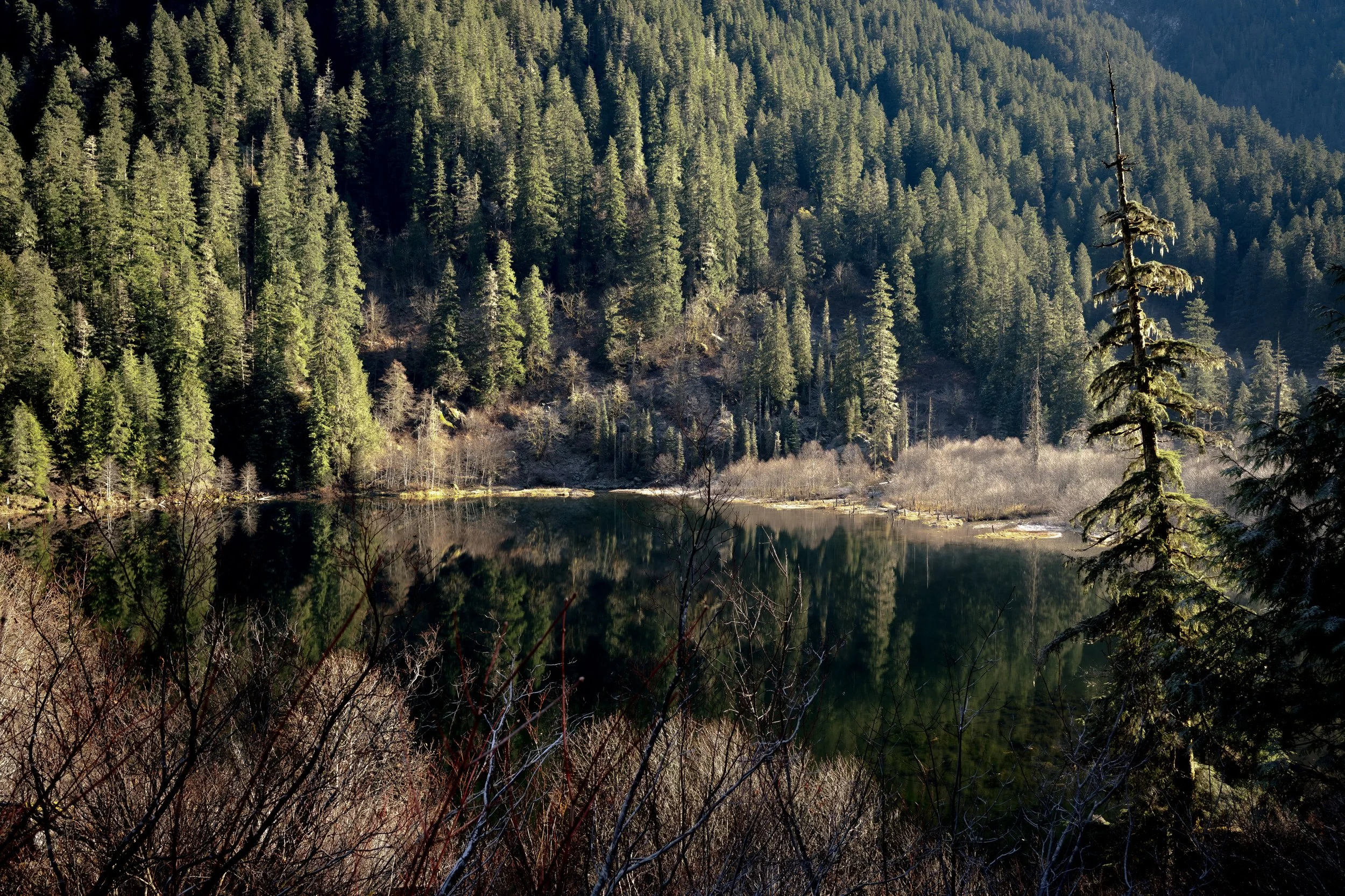 Trout lake from above.jpg