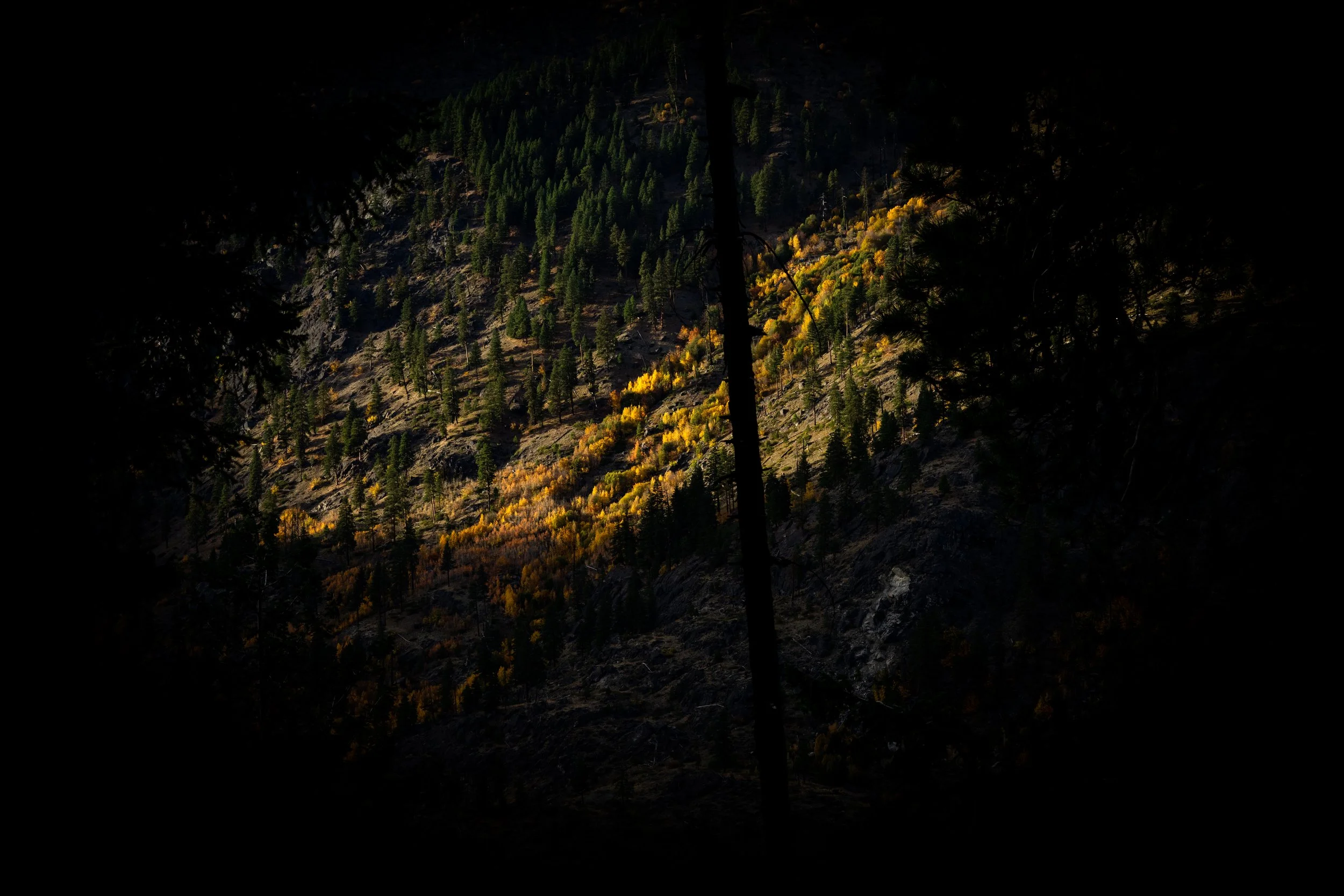 Fall colors on distant hill.jpg