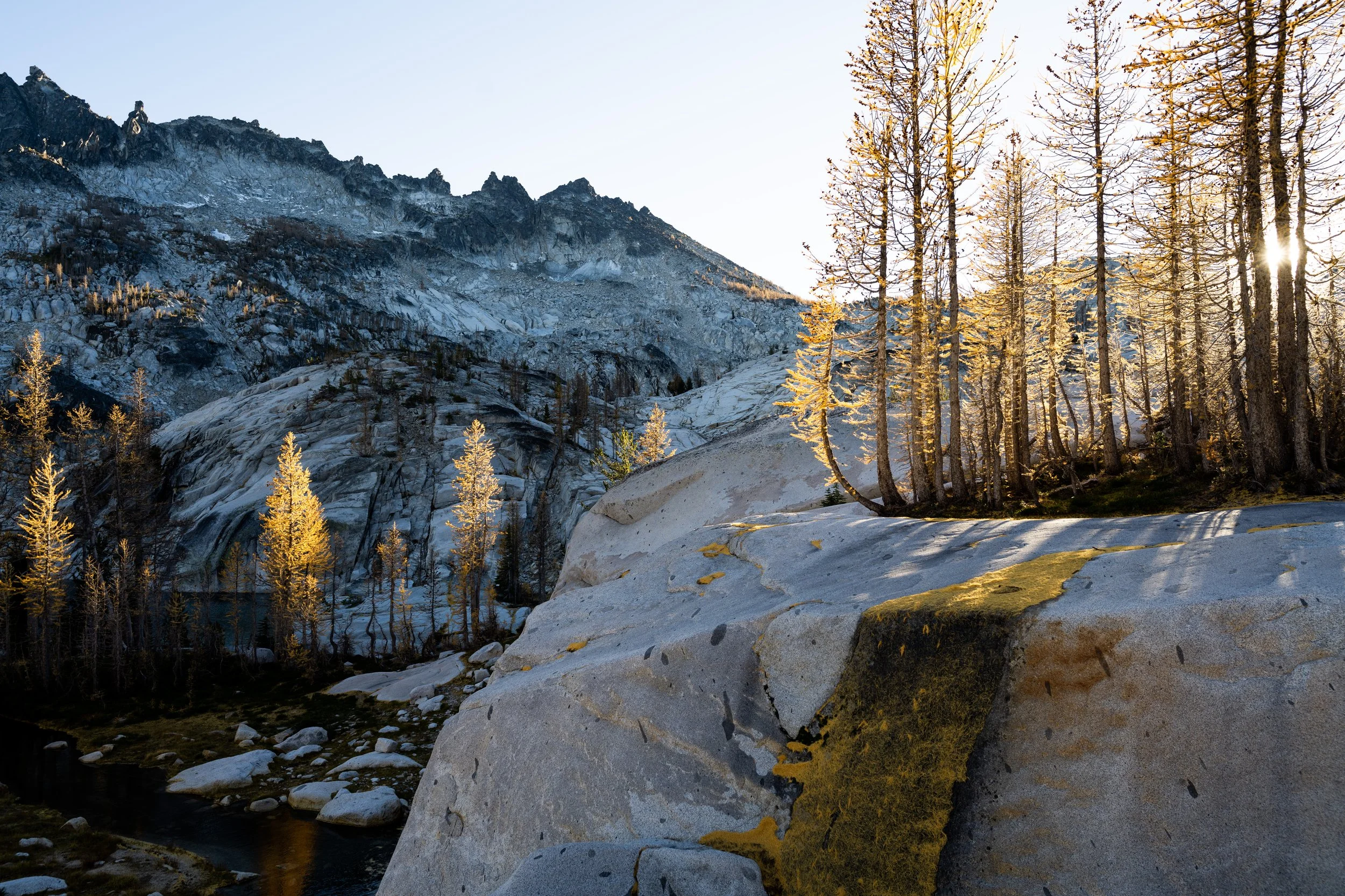 Golden waterfall.jpg