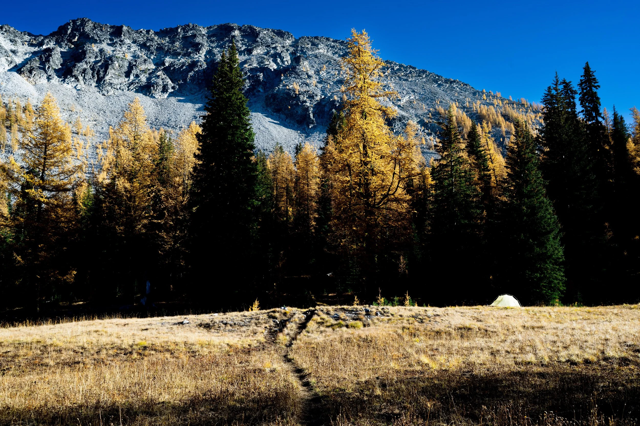 Greens and Yellows-2.jpg