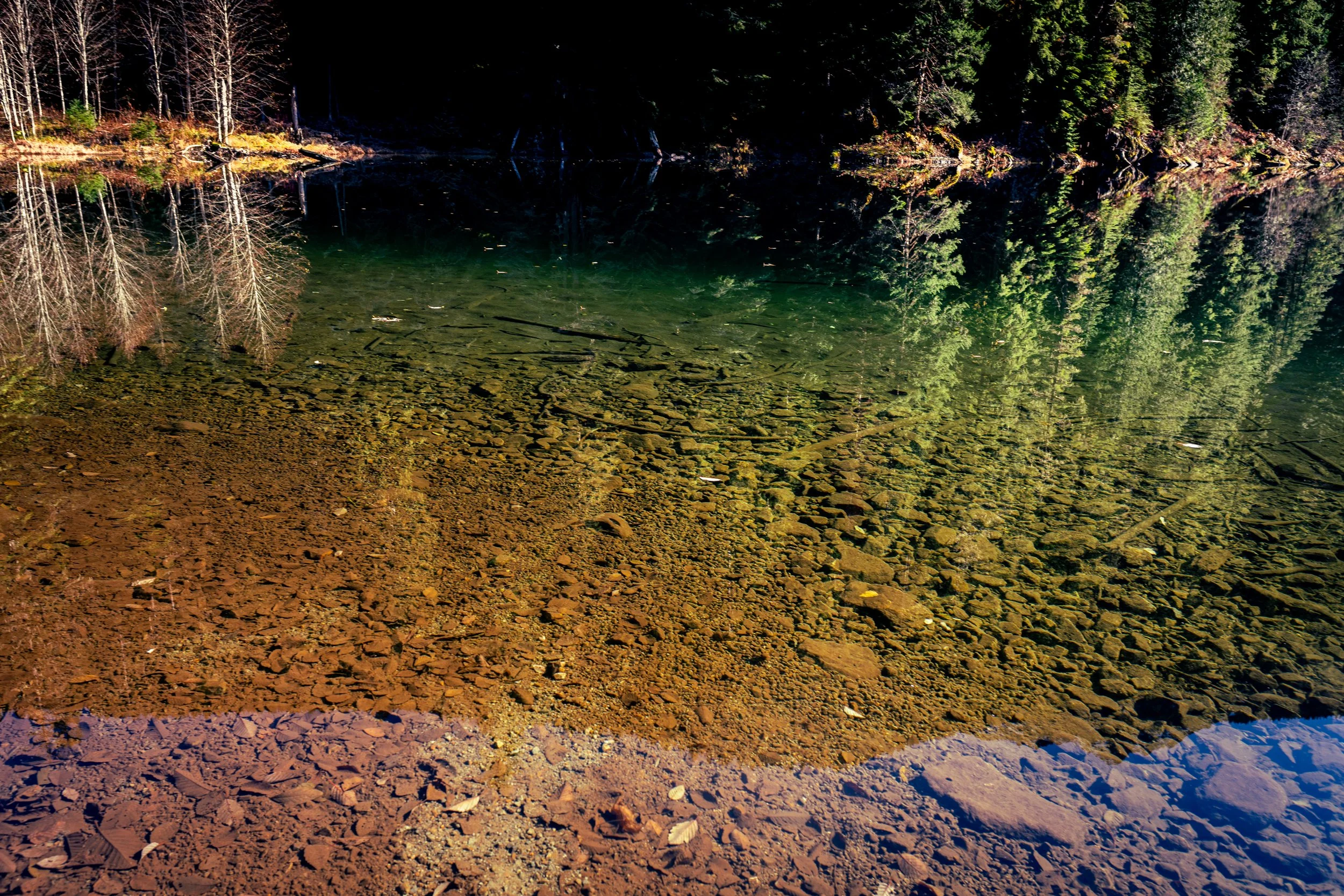 Translucent trout lake .jpg