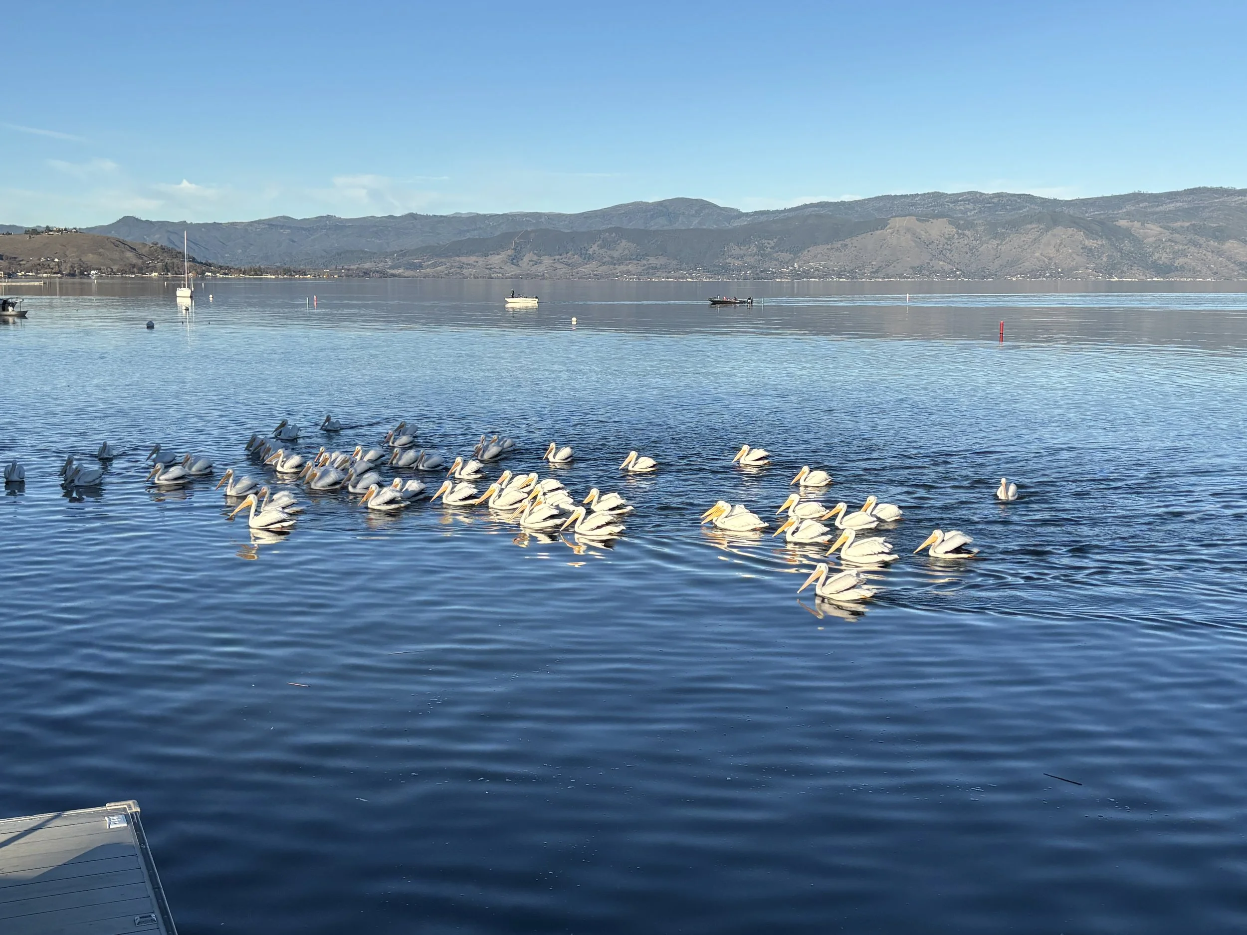 Part 2: Unearthing 130,000 Years Beneath Clear Lake