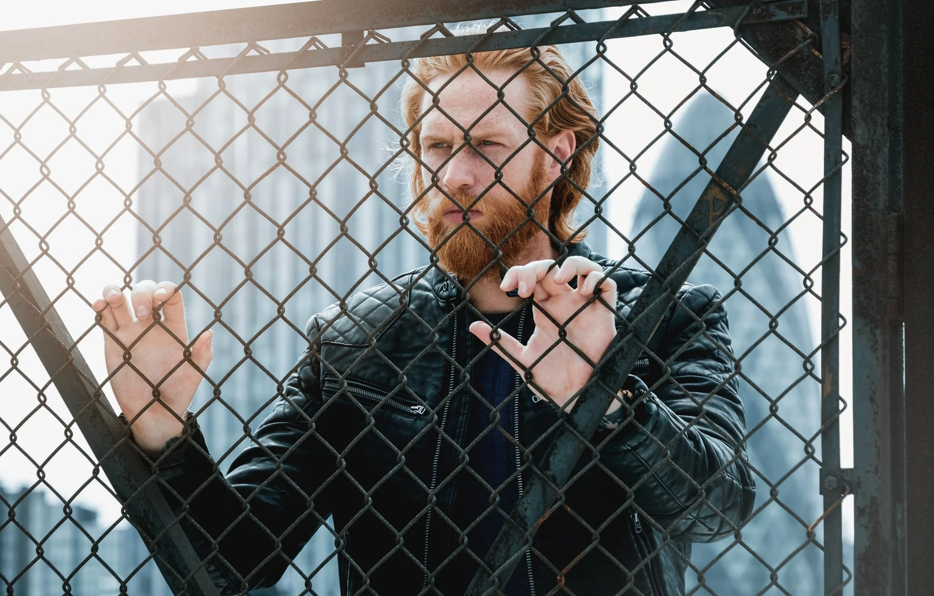 Gwilym Fence.jpg
