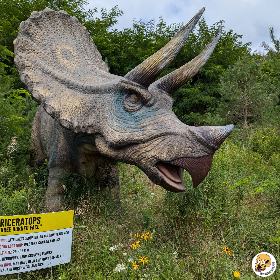 Triceratops Finished.png