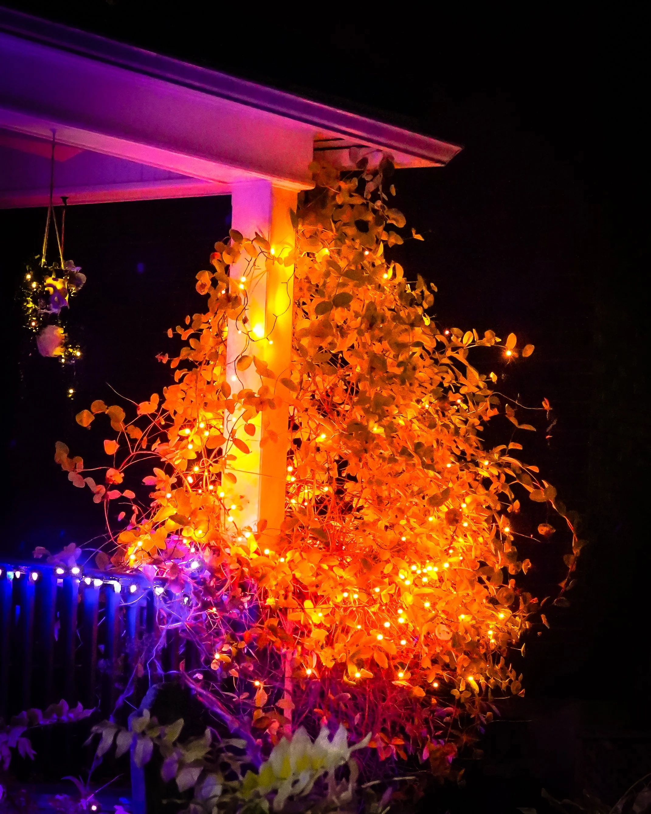 Photographs: Ottawa Walks Autumn