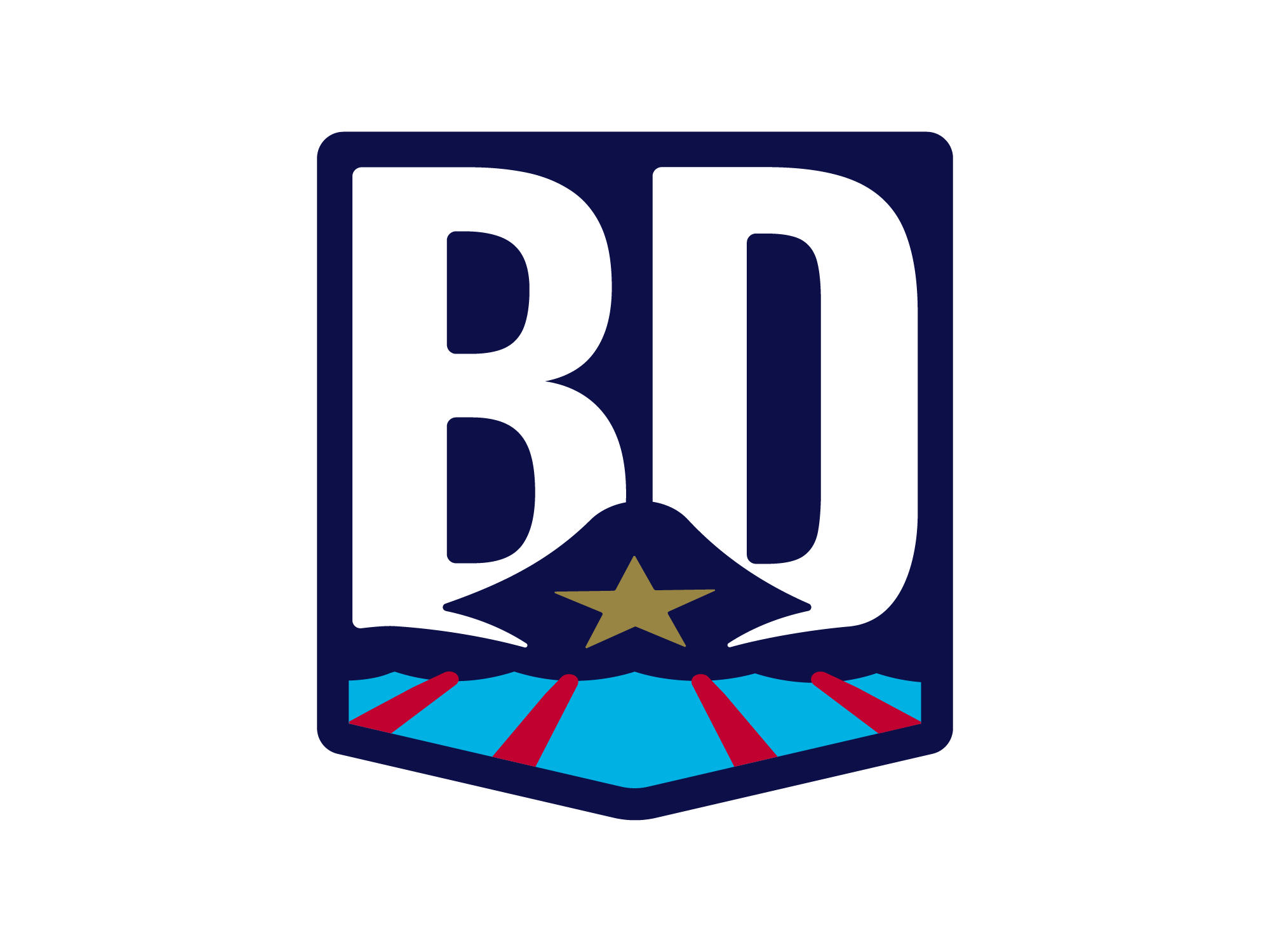 USAS_GridTemplate_LSCLogos_BorderSwimming_2.png